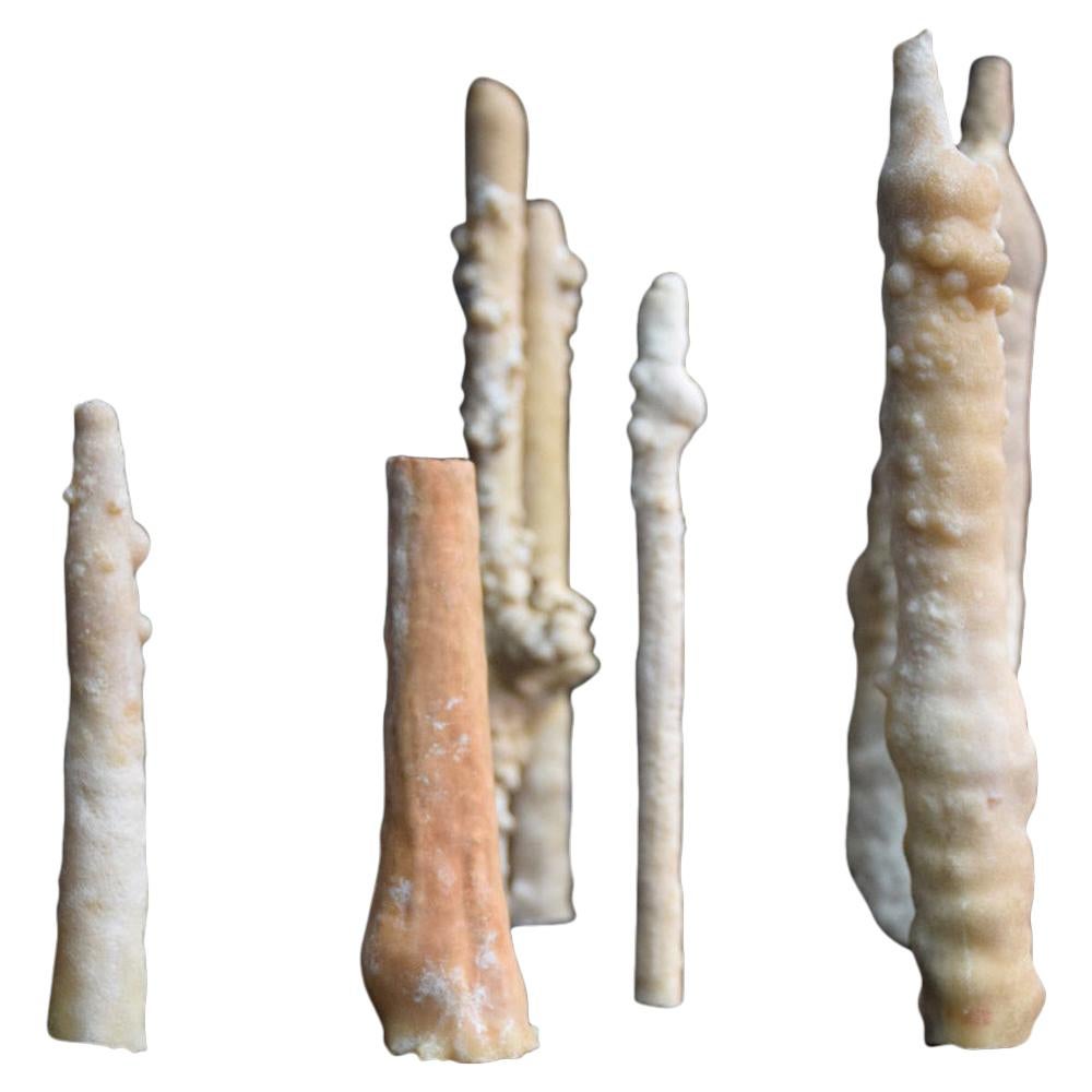 Collection of Rare Shaped Natural History Museum Stalagmite Forms