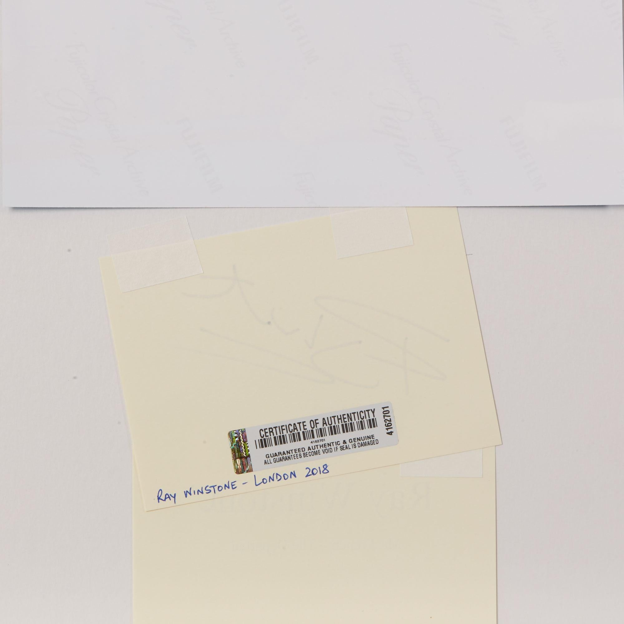 Eine einzigartige Sammlung Ray Winstone von 20 Original-Autogramm montiert Montage mit Porträtfotos und Filmstills mit Elfenbein-Karte in schwarzer Tinte mit einem Ray Winstone Autogramm unterzeichnet jeweils mit einem 