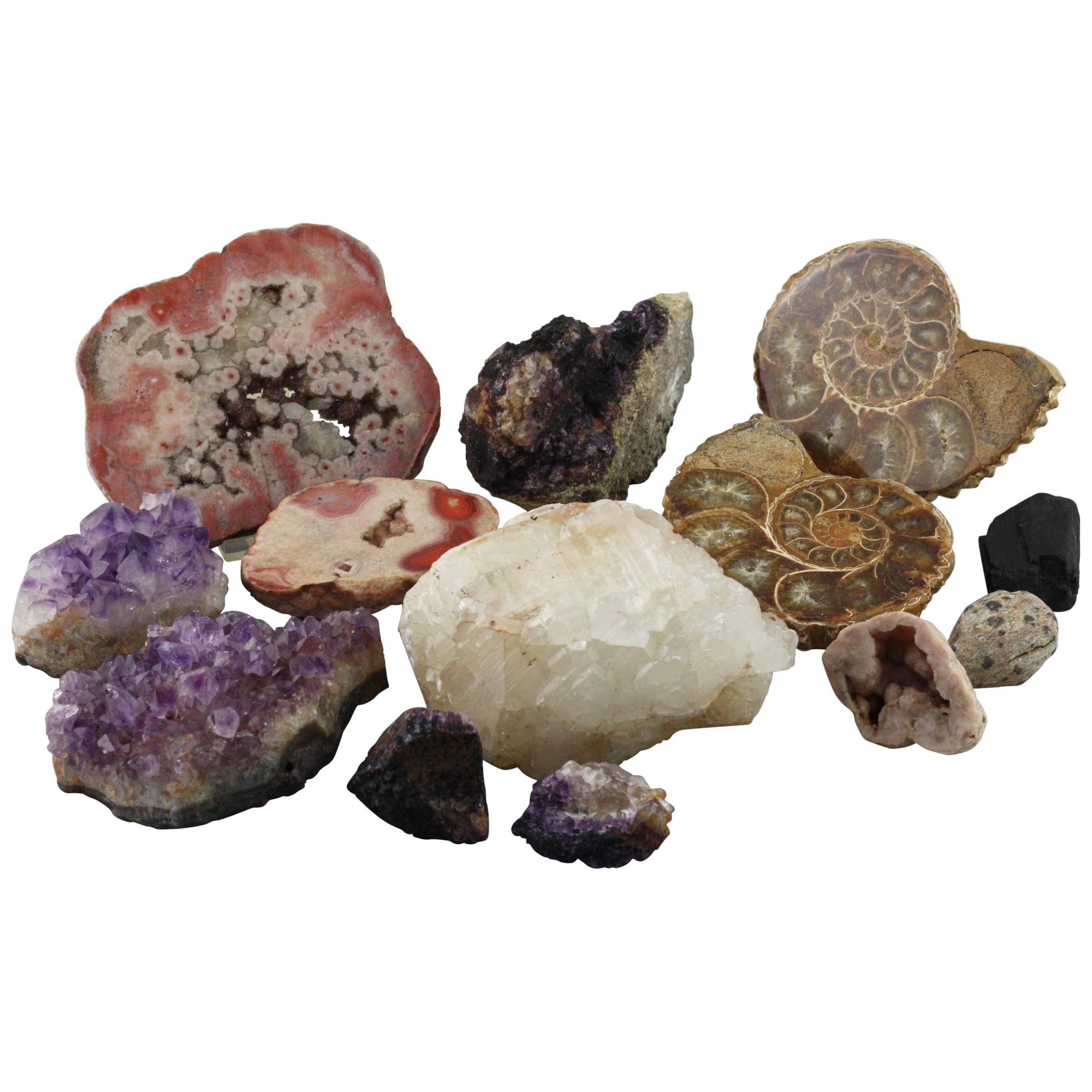 Collection of Rock Fossils Including Blue John and an Ammonite