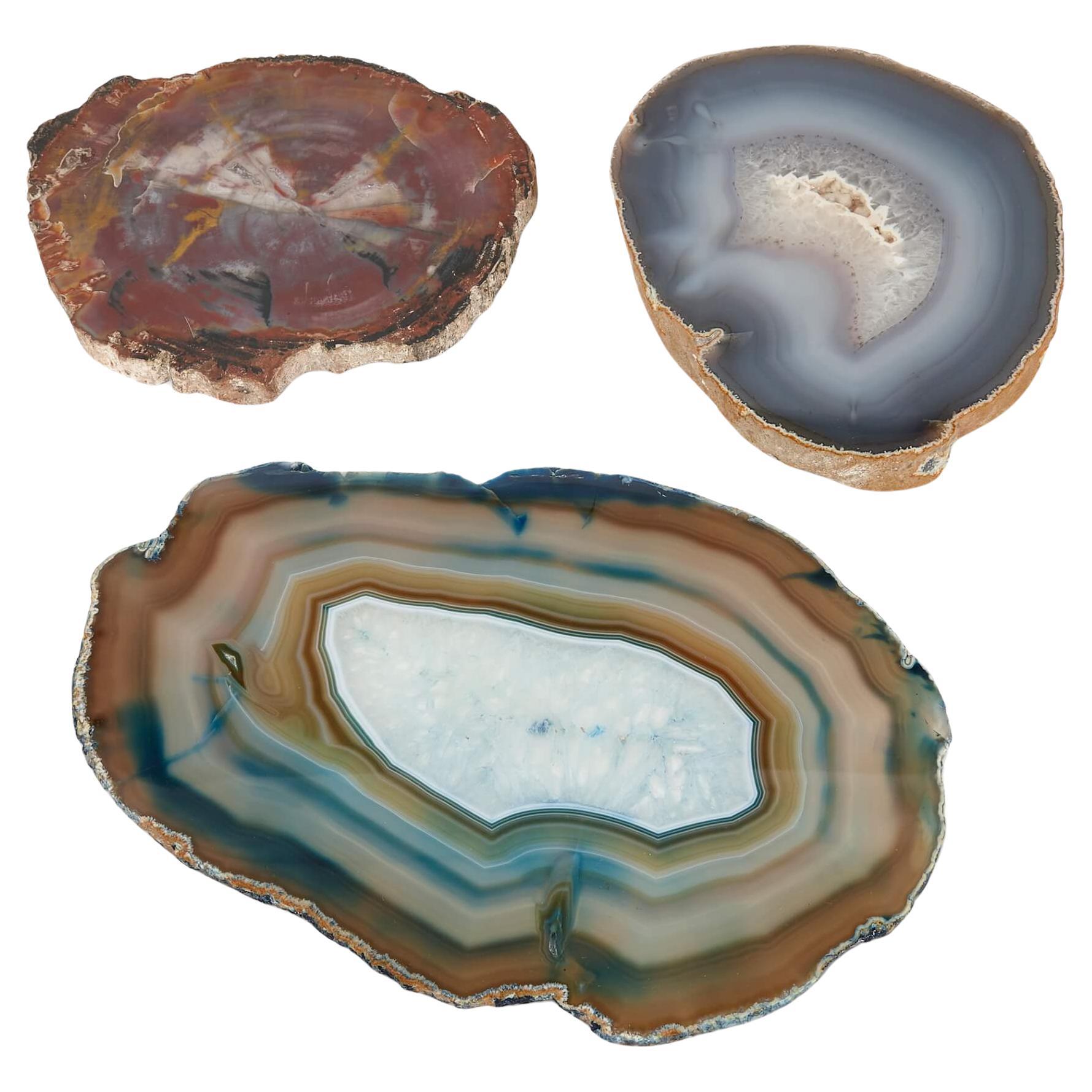 Collection of Rock Specimens  For Sale