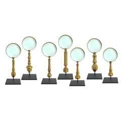 Collection of Seven 19th Century English Brass Magnifying Glasses on Mounts