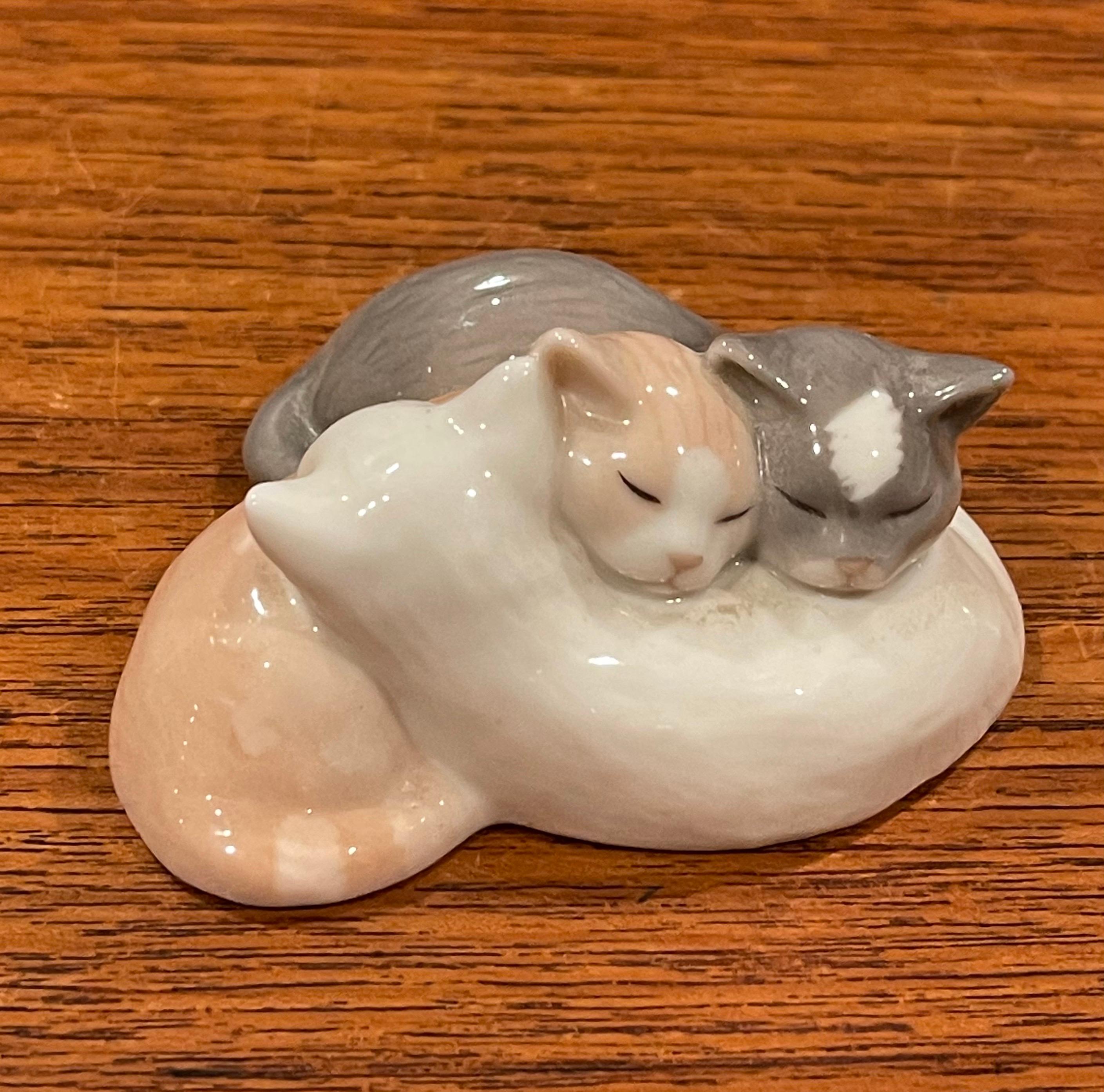 camark cats for sale
