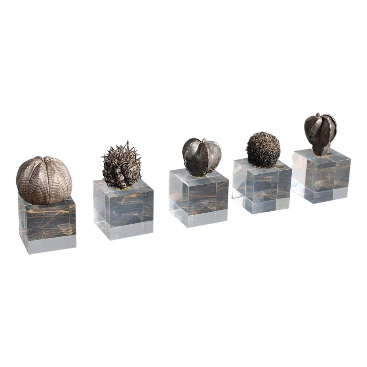 Collection de cactus en argent et cube en Lucite Design italien, 1970 en vente