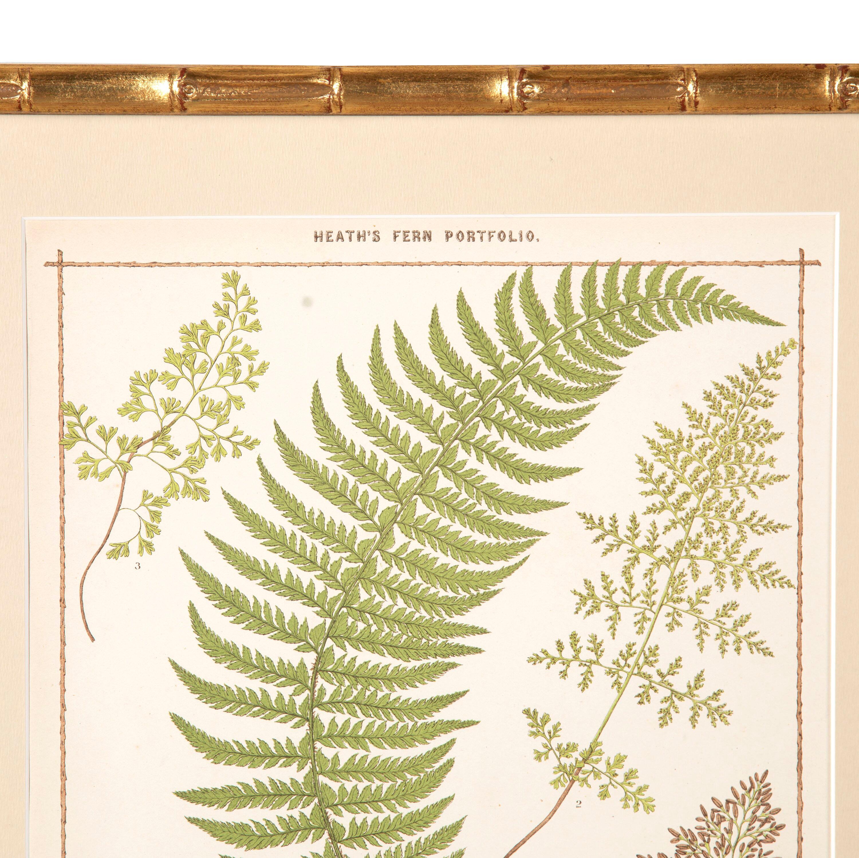 Wonderful set of six 'British Ferns' by Francis George Heath. 

Each chromolithograph is mounted within a beautifully carved Italian frame that supports a UV glass plate. The UV glass creates extra protection against daylight and cuts reflection