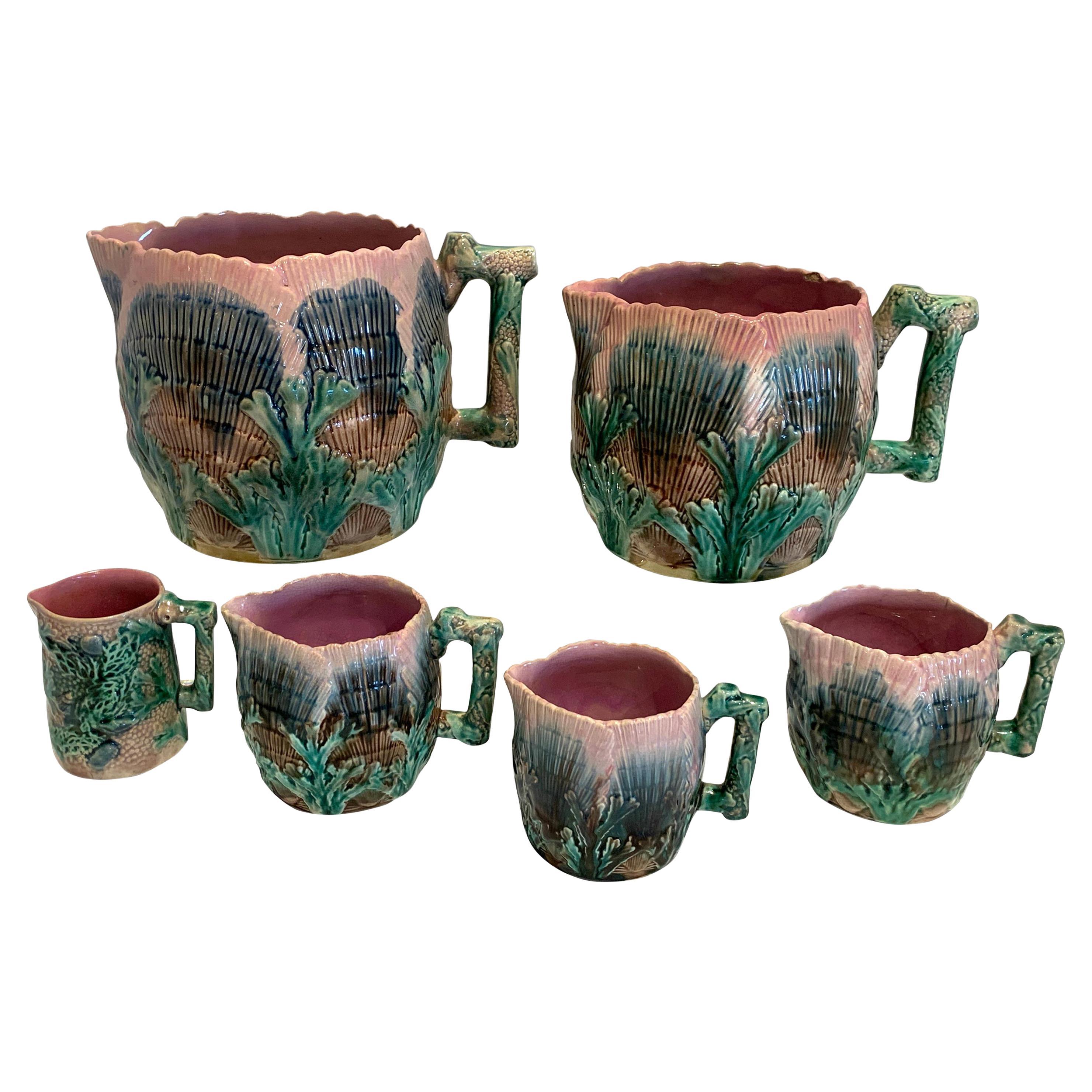 Collezione di sei brocche etrusche in maiolica con conchiglie e alghe marine