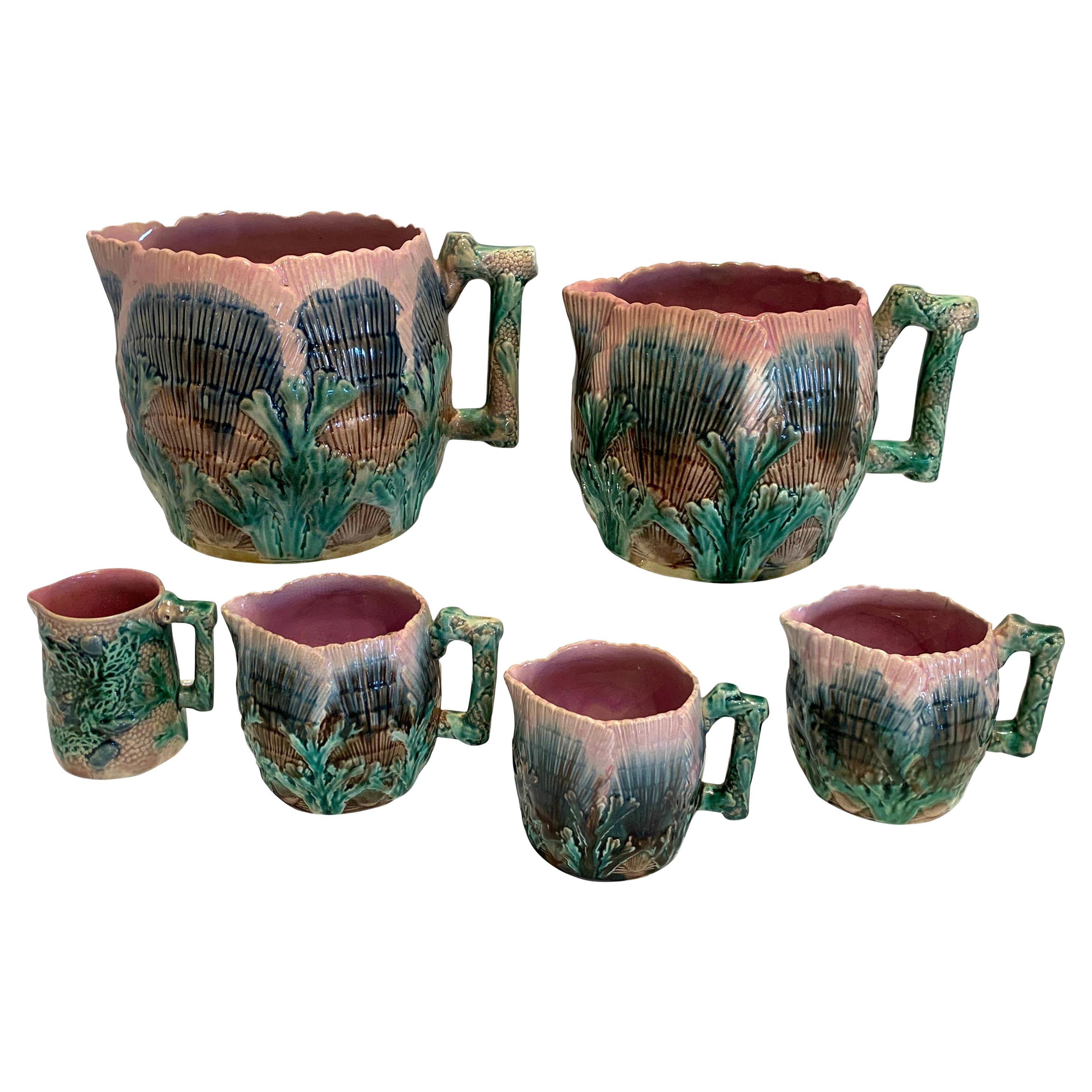 Collection of Six Etruscan Majolica Shell and Seaweed Pitchers For Sale