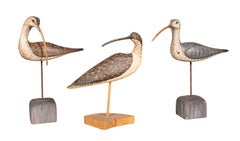 Collection Of Ten Carved Shore Birds By William E Kirkpatrick