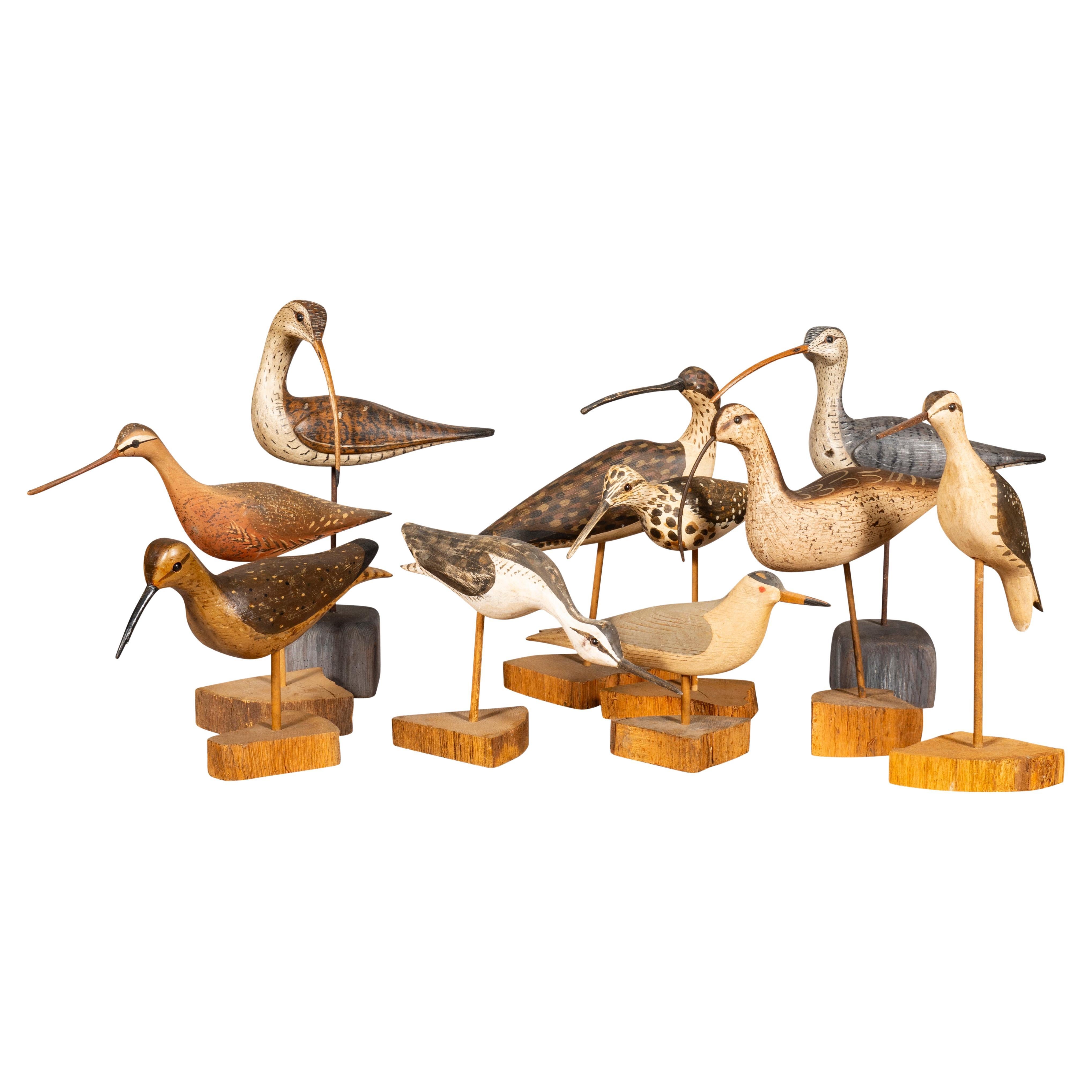 Collection Of Ten Carved Shore Birds By William E Kirkpatrick For Sale