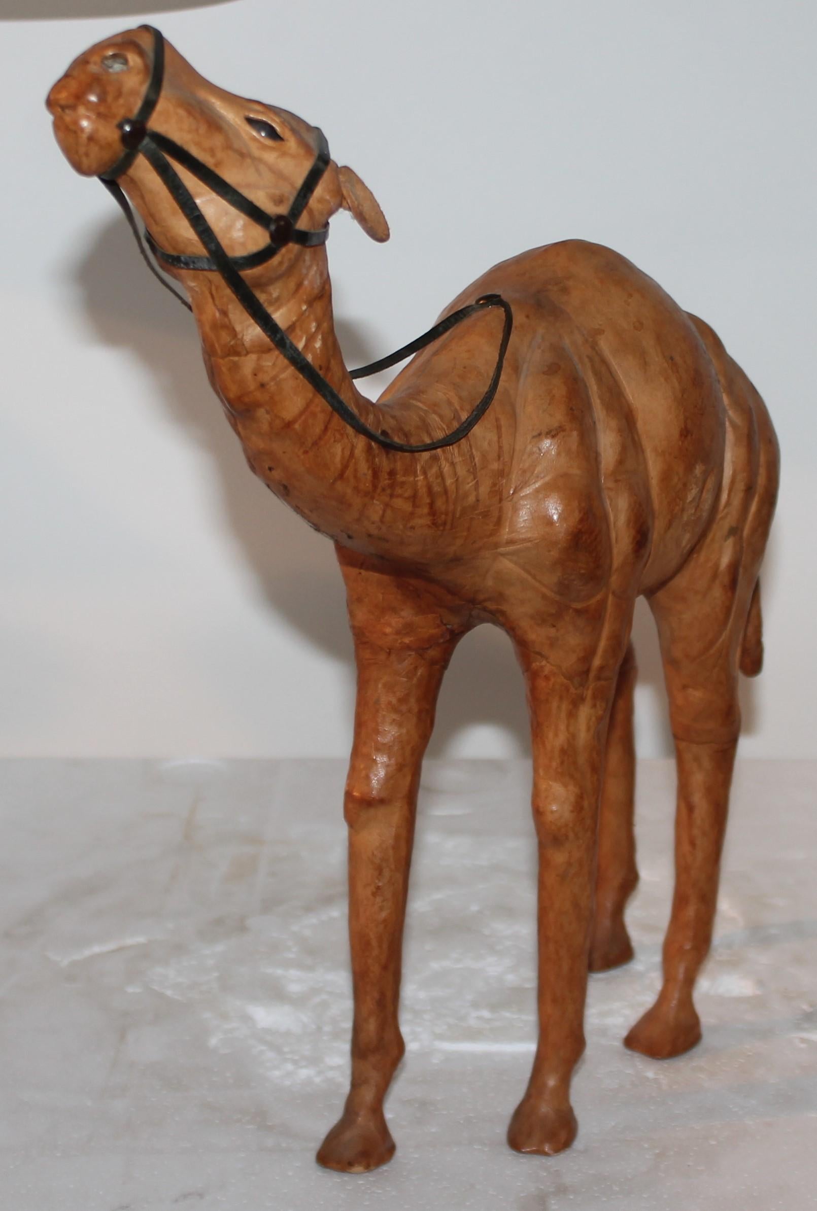 Collection of the Three Wise Men's Camels In Good Condition For Sale In Los Angeles, CA