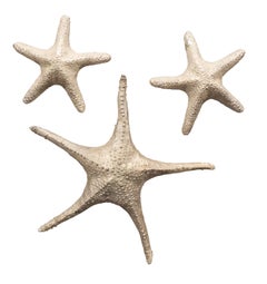 Collection of Thirteen Silver Plated Bronze Sea Shells