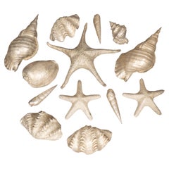 Collection of Thirteen Silver Plated Bronze Sea Shells