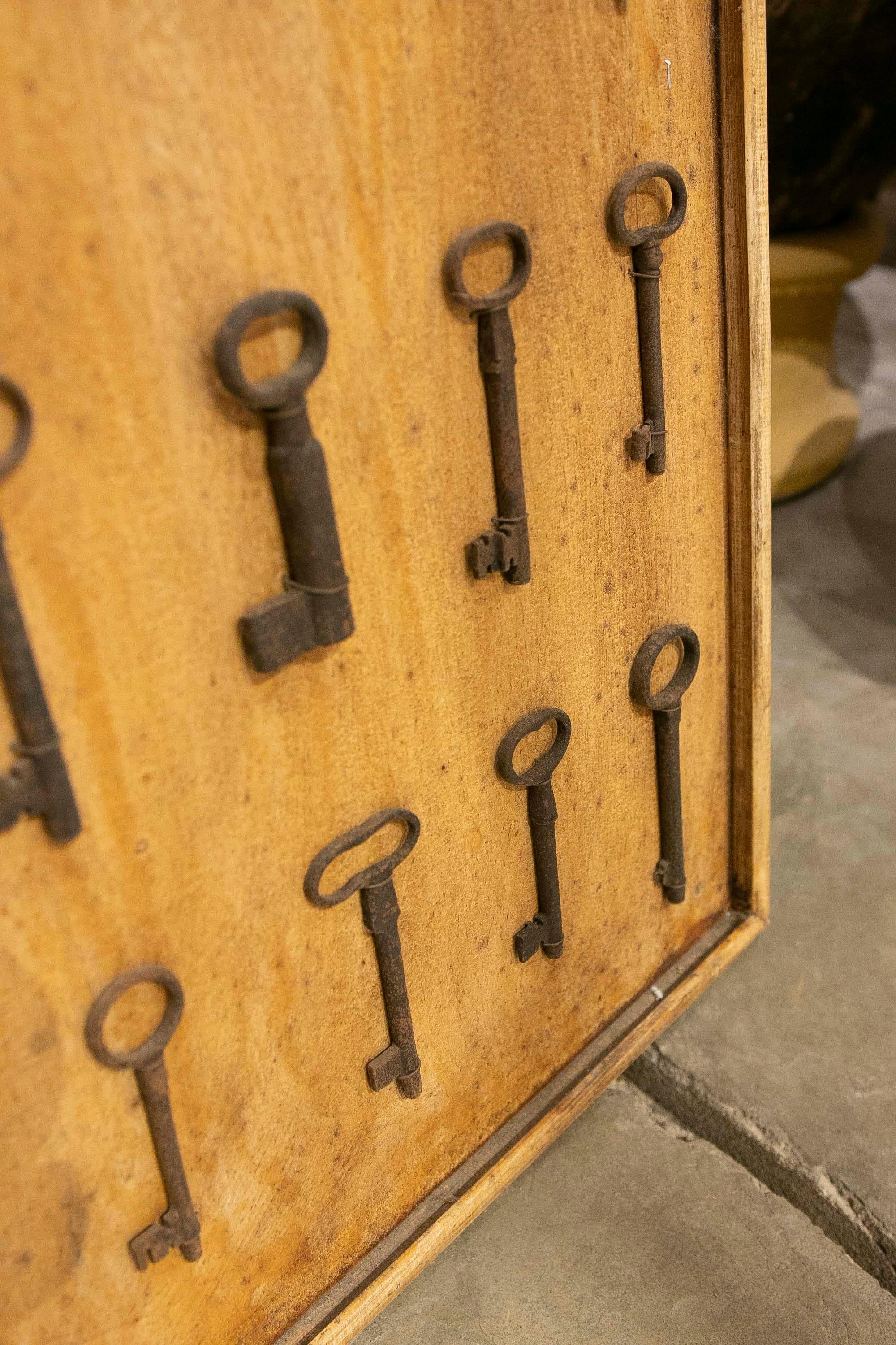 Collection of Thirty-Five Framed Antique Iron Keys  For Sale 8