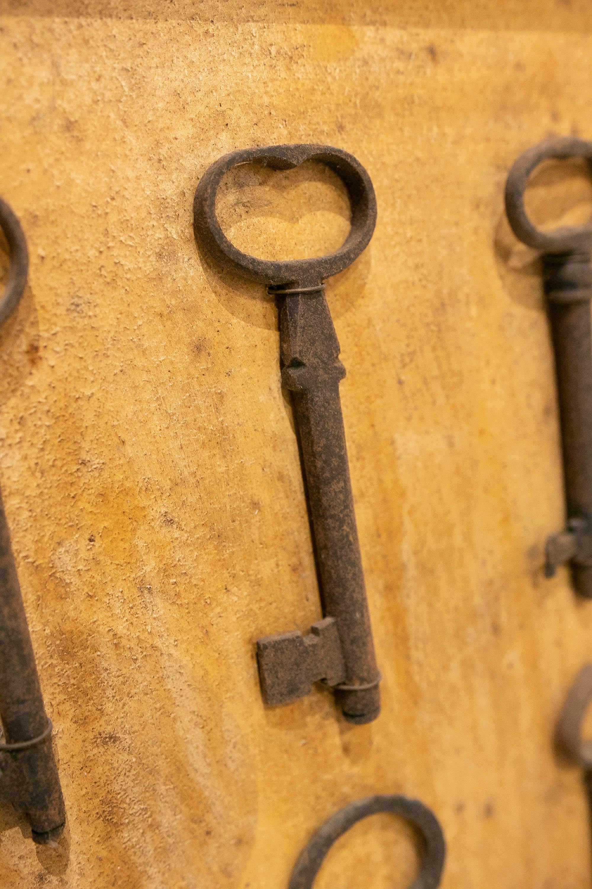 Collection of Thirty-Five Framed Antique Iron Keys  For Sale 10