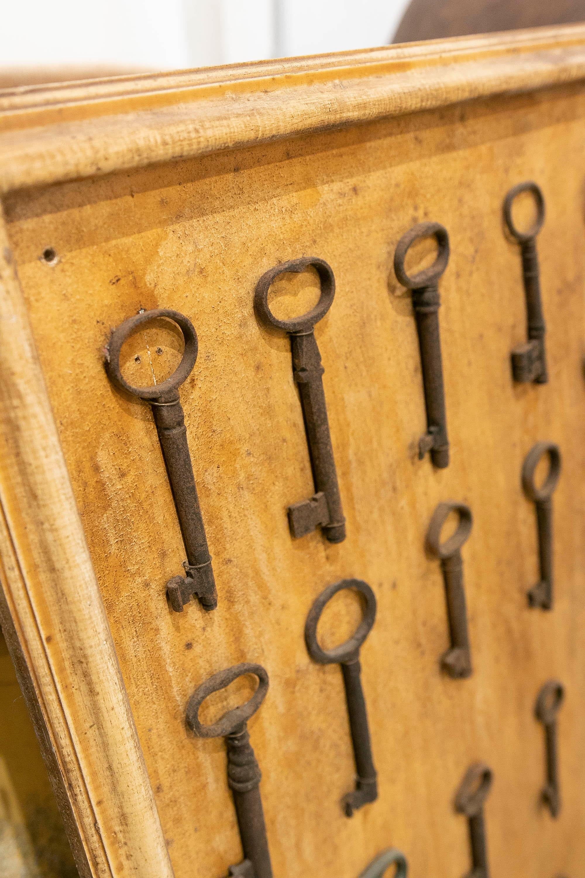 Collection of Thirty-Five Framed Antique Iron Keys  For Sale 4