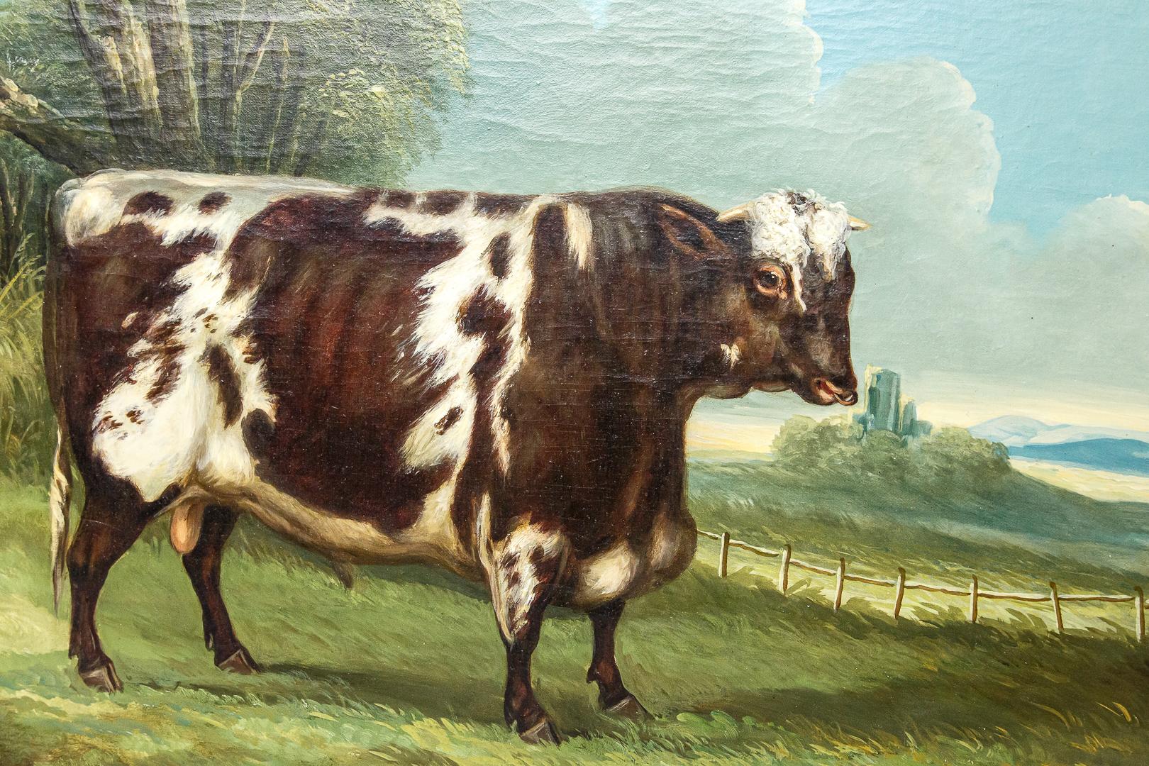 Collection of Three English Naive School Prized Cattle Oil on Canvas Paintings 2