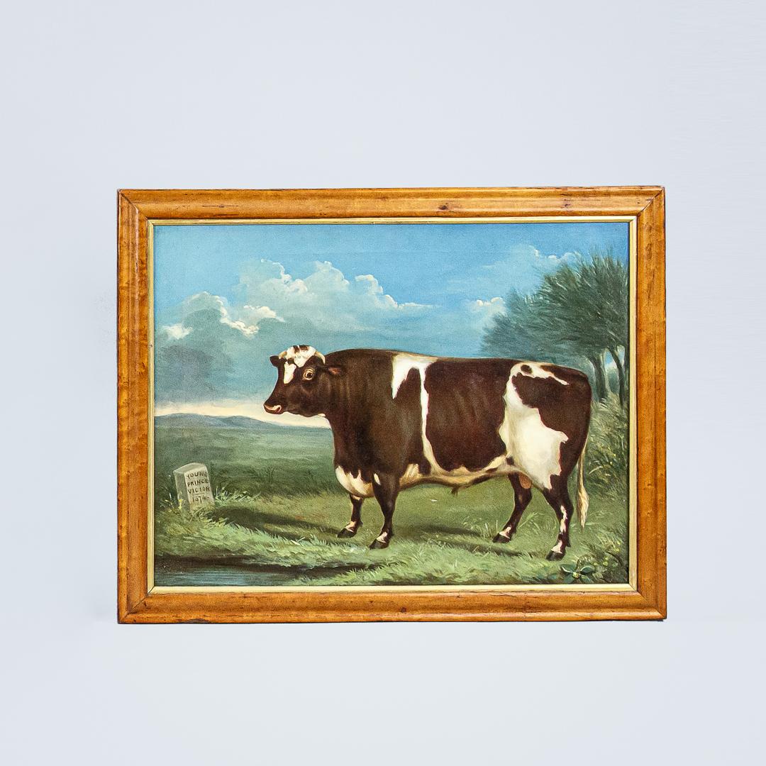 Collection of Three English Naive School Prized Cattle Oil on Canvas Paintings 4