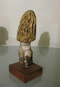 Collection of Three Papier Maché Models of Morels by Heinrich Arnoldi, 1880