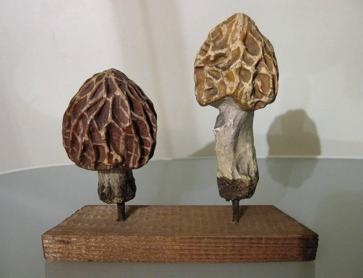 Collection of Three Papier Maché Models of Morels by Heinrich Arnoldi, 1880 In Good Condition For Sale In Paris, FR