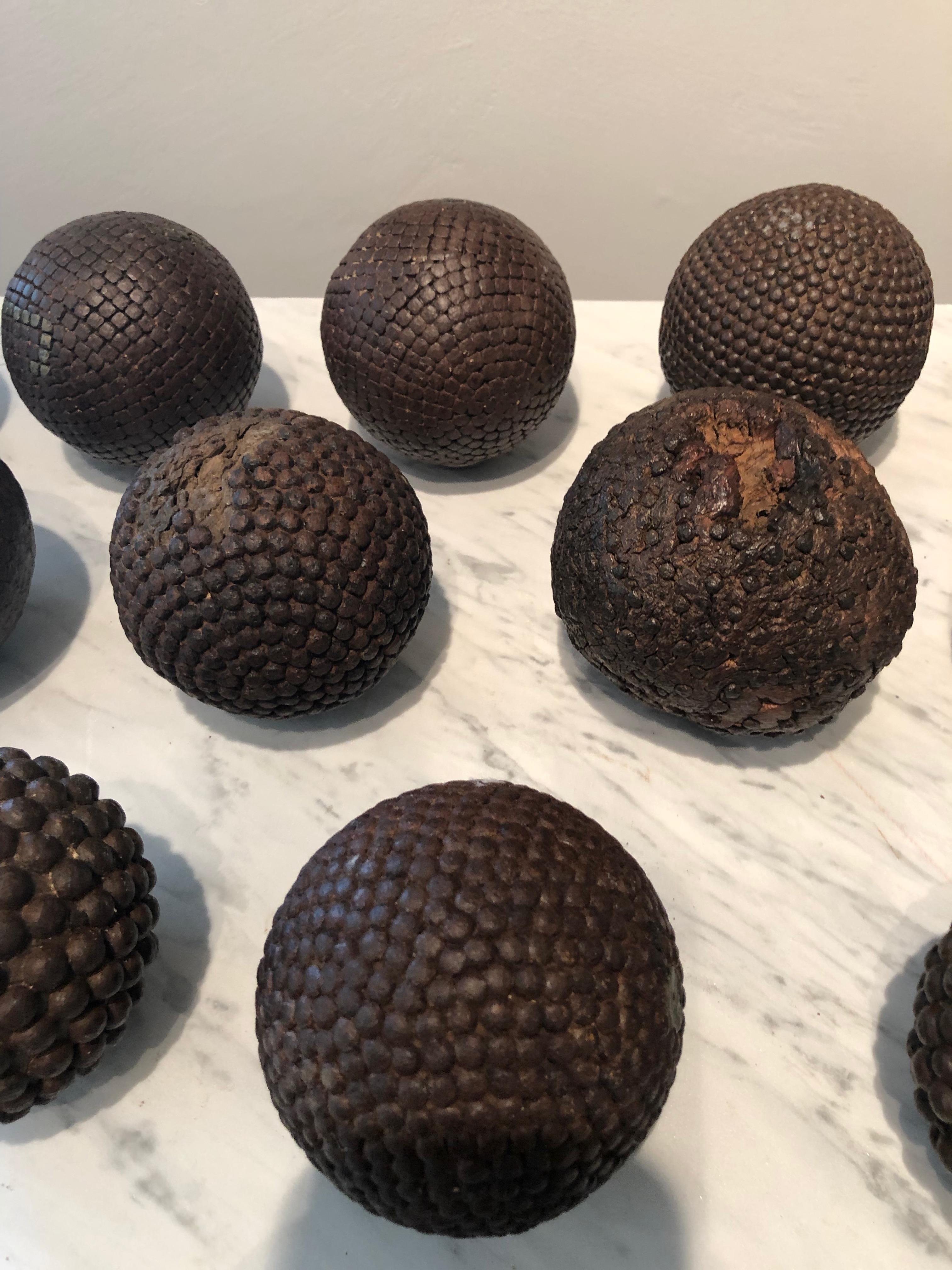 Collection of Twelve 19th Century French Iron-Studded Pétanque Boules 1