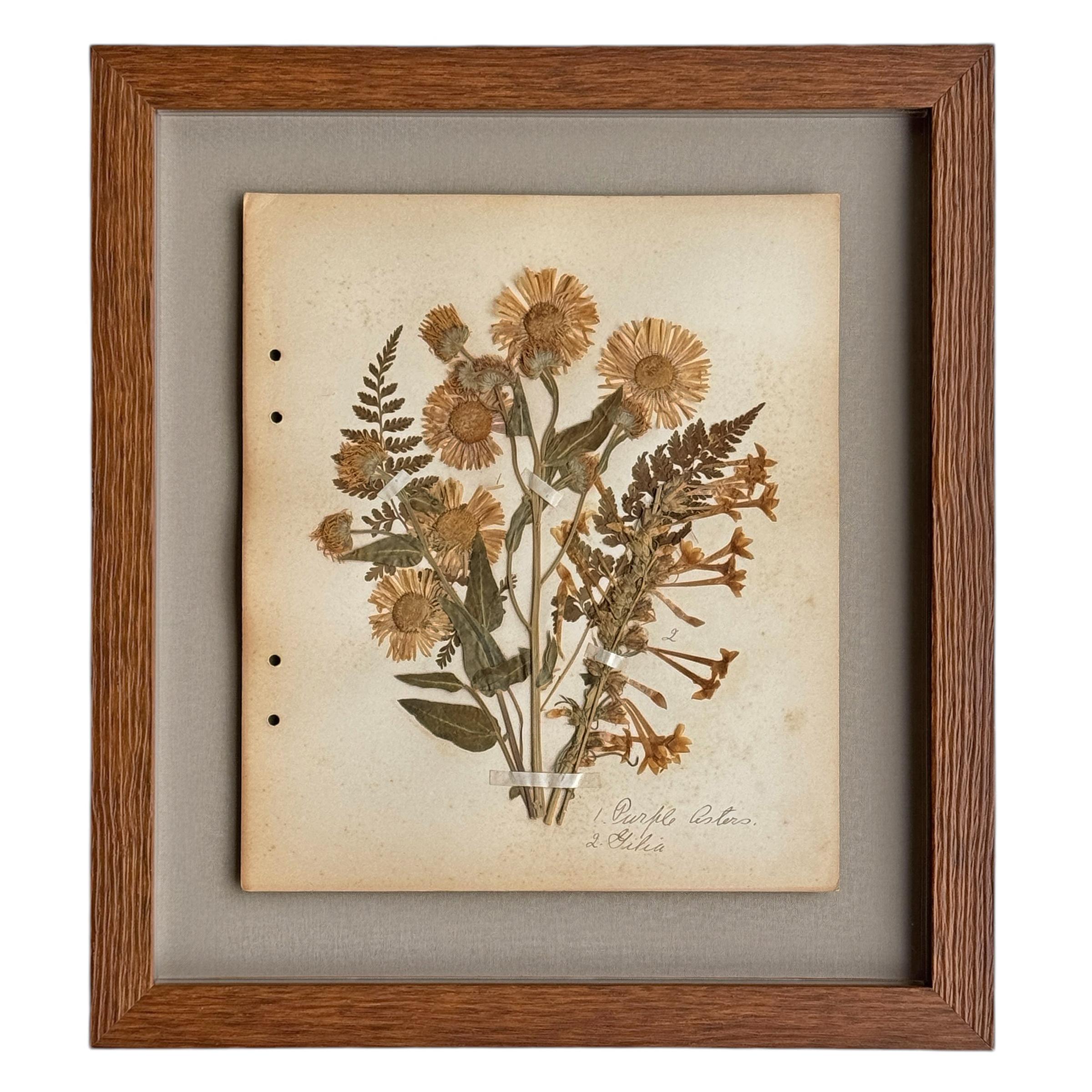 Country Collection of Twelve Framed Botanicals from the Rocky Mountains, c. 1926 For Sale