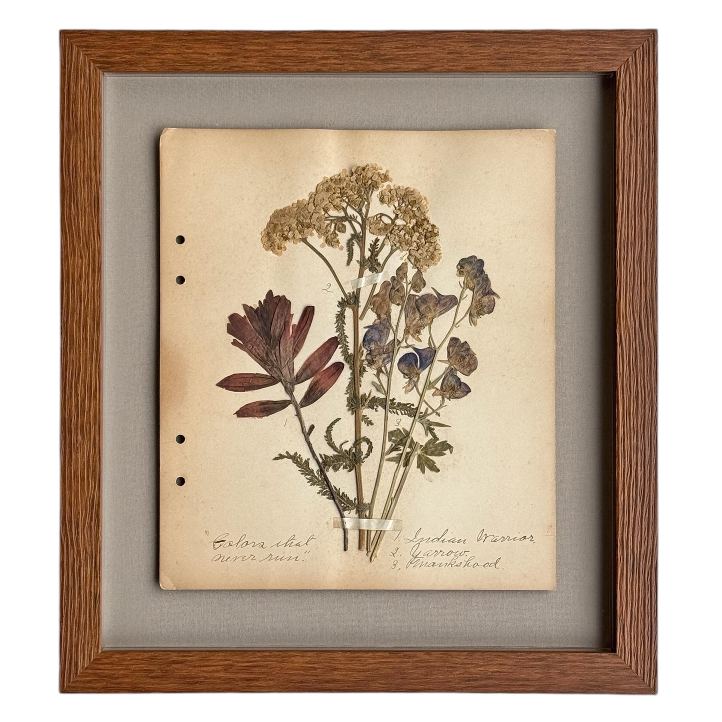 American Collection of Twelve Framed Botanicals from the Rocky Mountains, c. 1926 For Sale