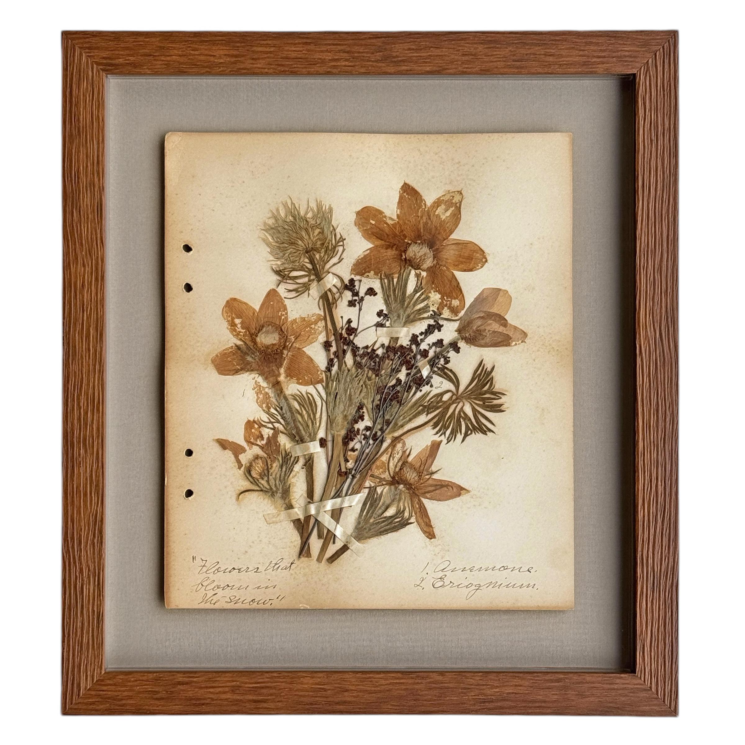 Collection of Twelve Framed Botanicals from the Rocky Mountains, c. 1926 In Good Condition For Sale In Chicago, IL