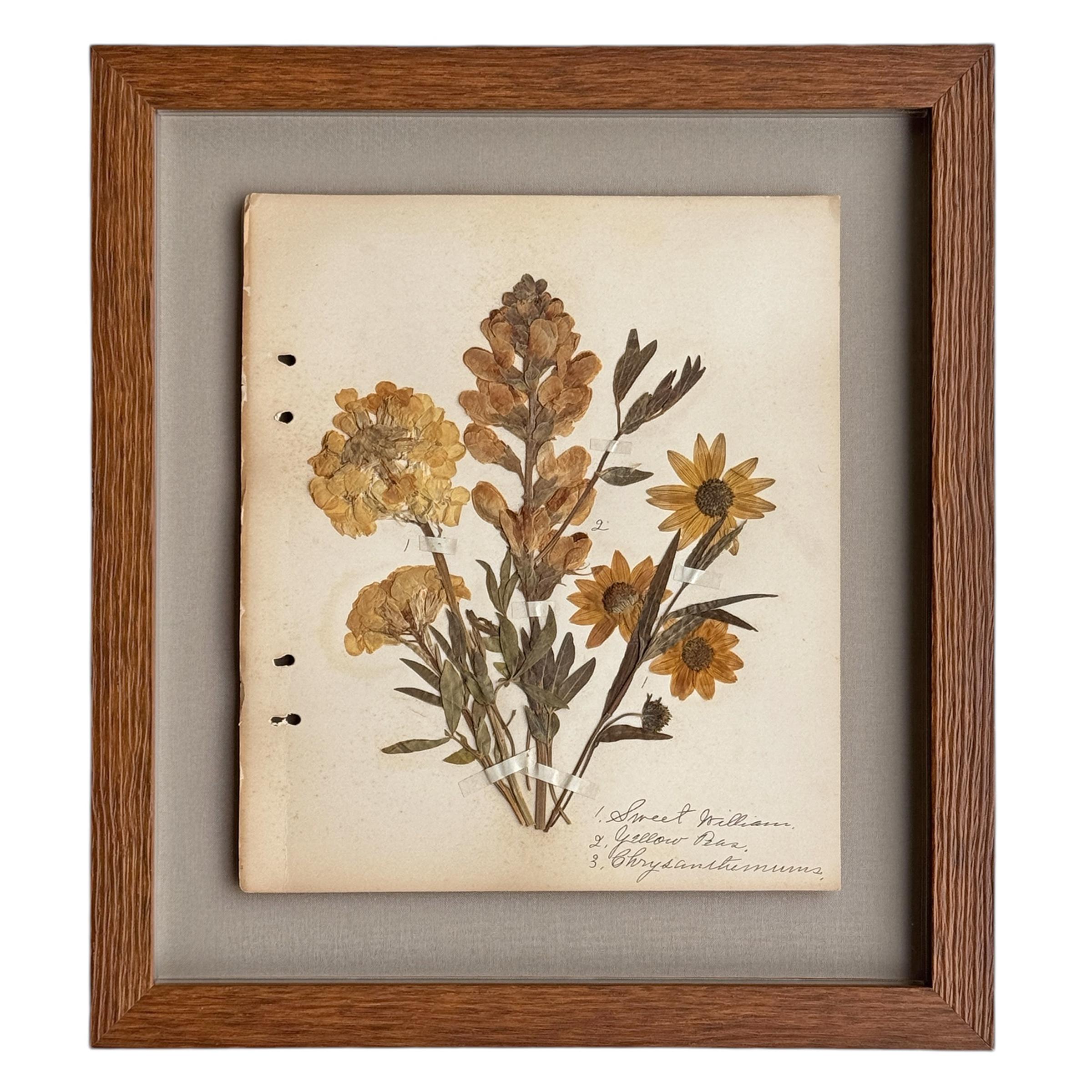 Collection of Twelve Framed Botanicals from the Rocky Mountains, c. 1926 For Sale 1