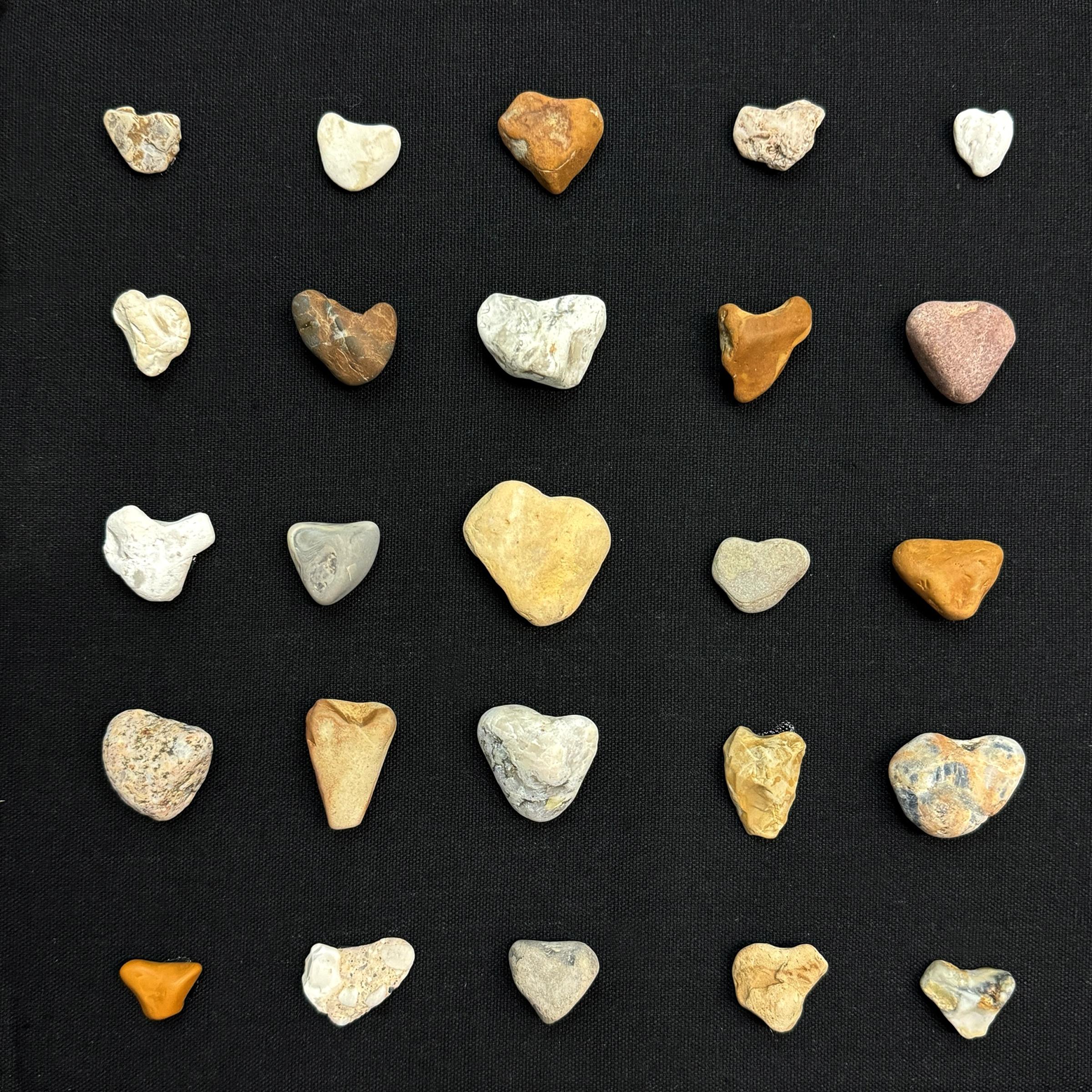 Collection of Twenty-Five Framed Heart Stones In Good Condition For Sale In Chicago, IL