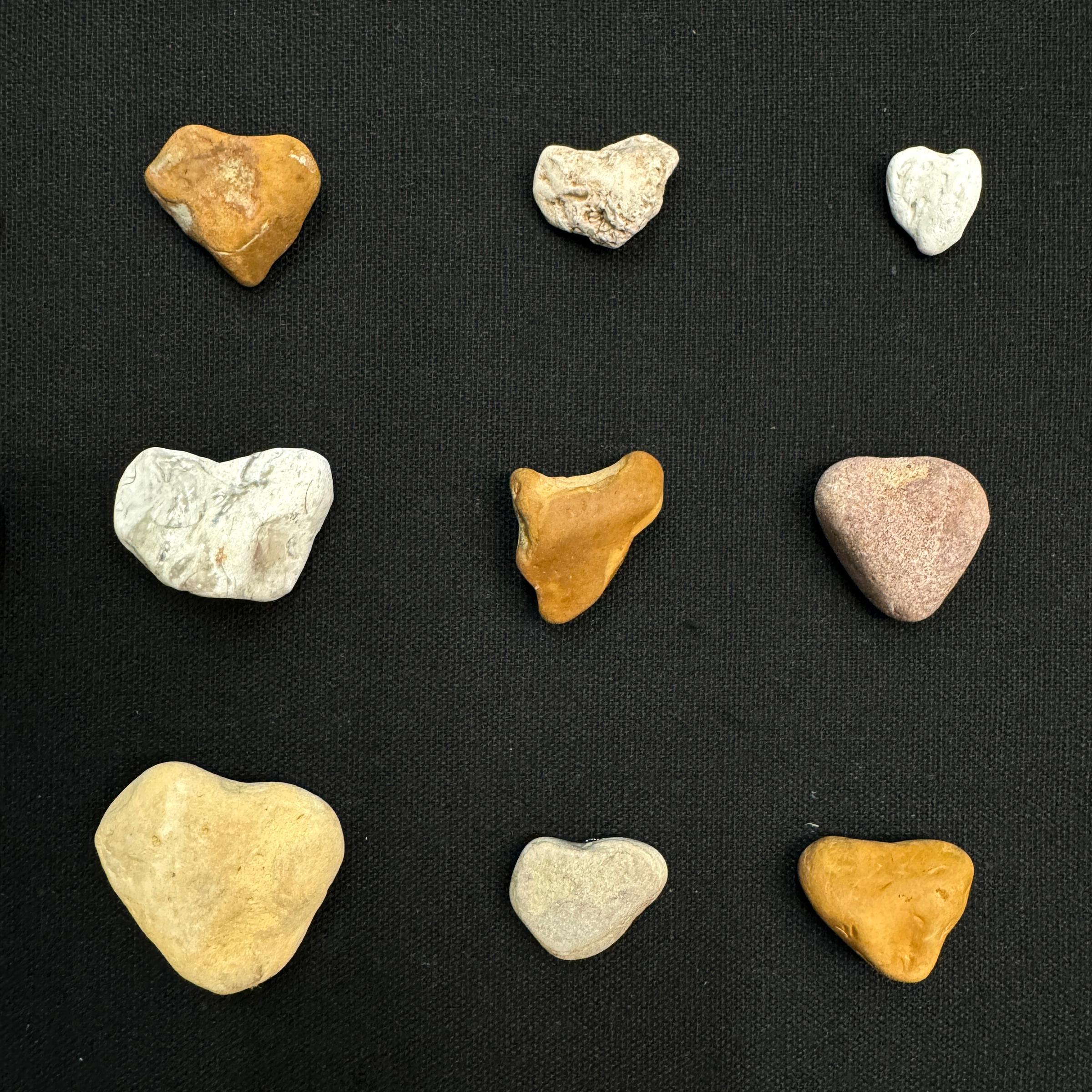 Collection of Twenty-Five Framed Heart Stones For Sale 1