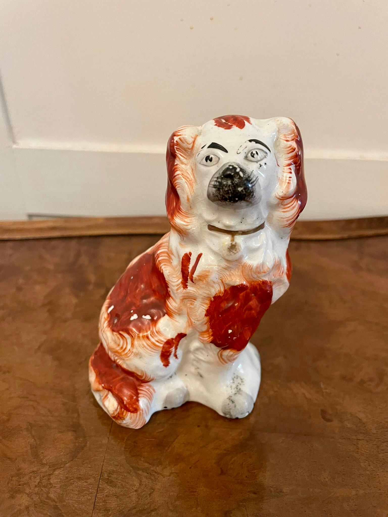 Collection of Unusual Antique 19th Century Victorian Staffordshire Dogs Set of 5 For Sale 8