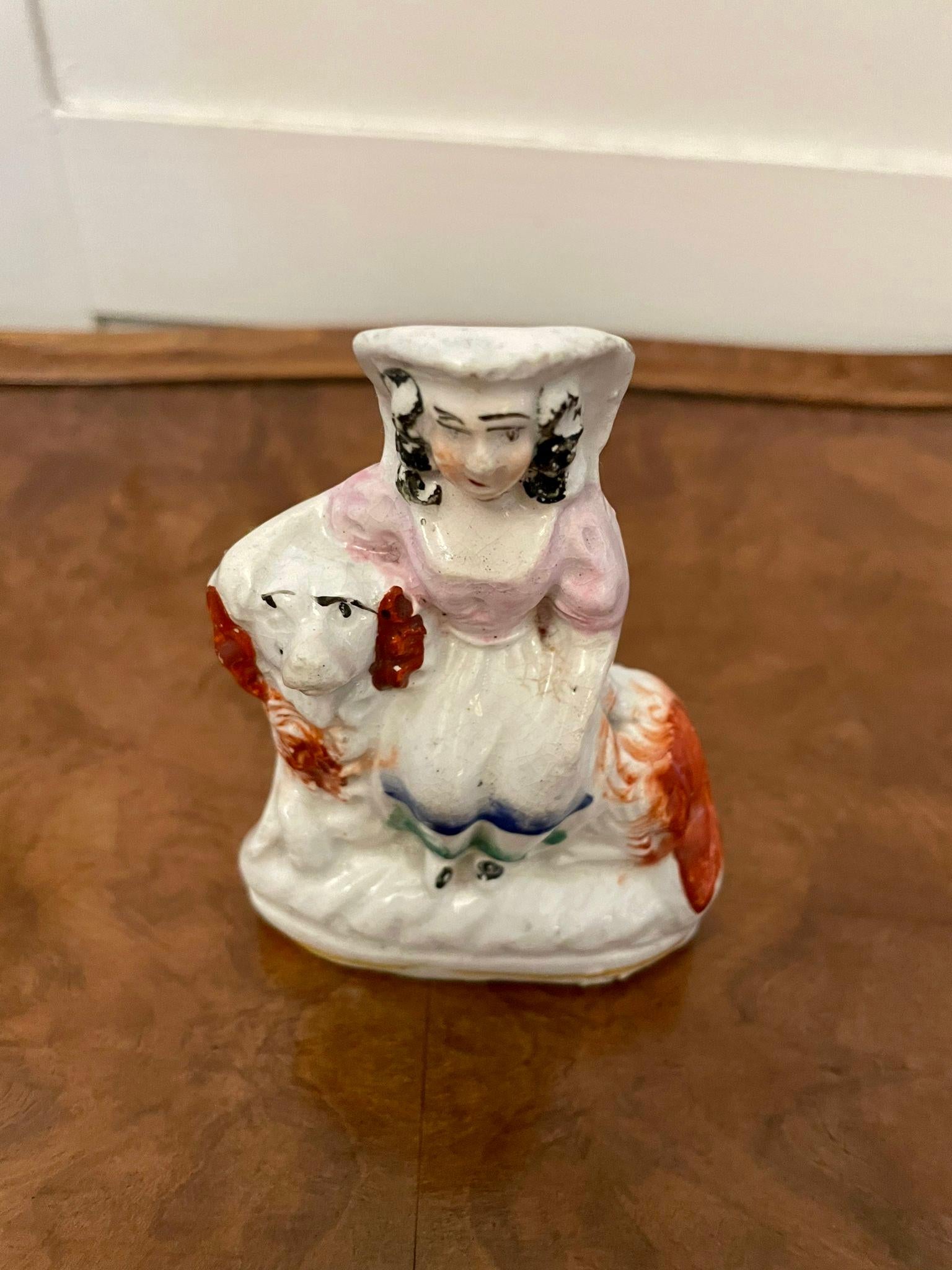 English Collection of Unusual Antique 19th Century Victorian Staffordshire Dogs Set of 5 For Sale