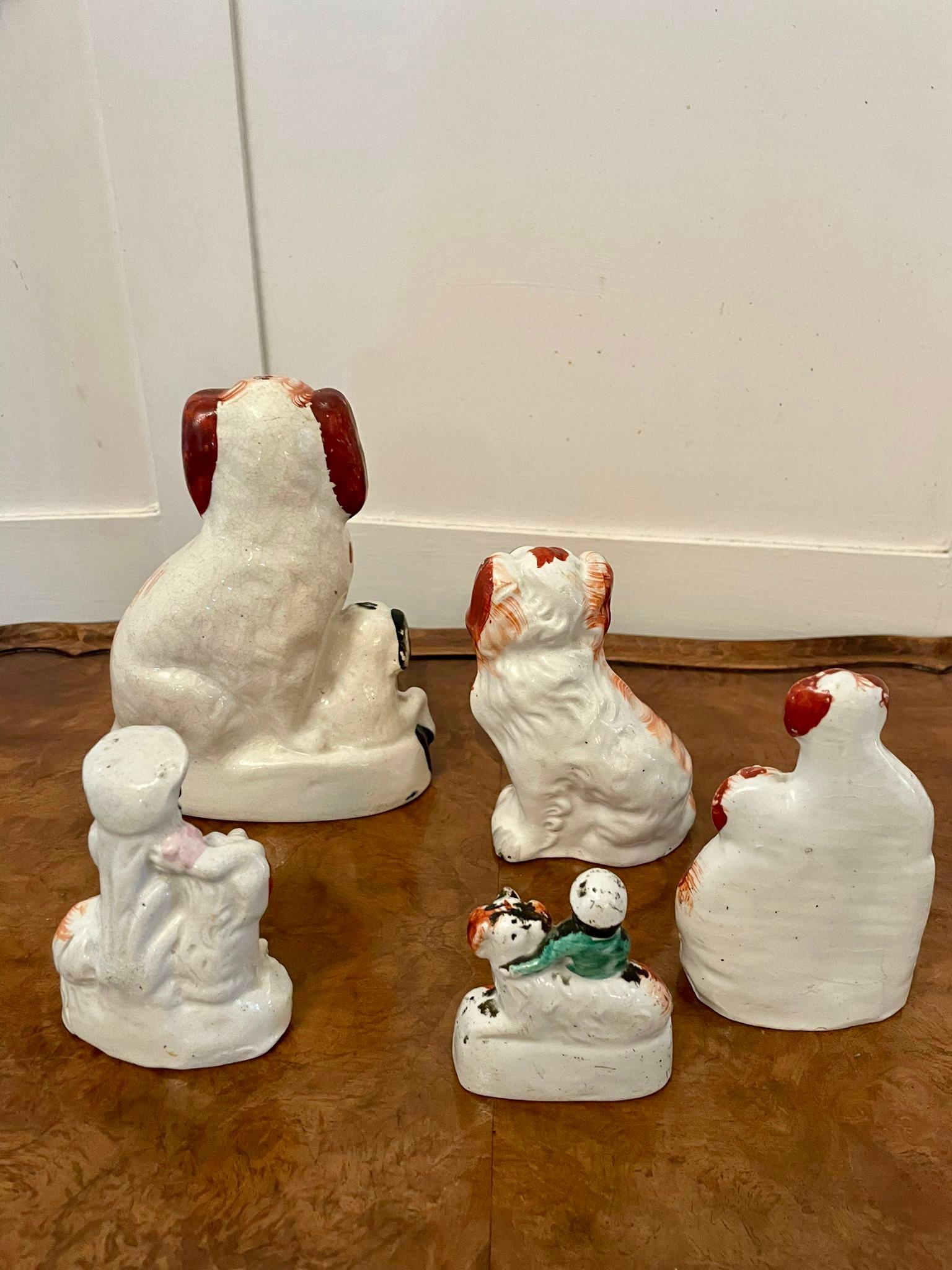 Collection of Unusual Antique 19th Century Victorian Staffordshire Dogs Set of 5 In Good Condition For Sale In Suffolk, GB