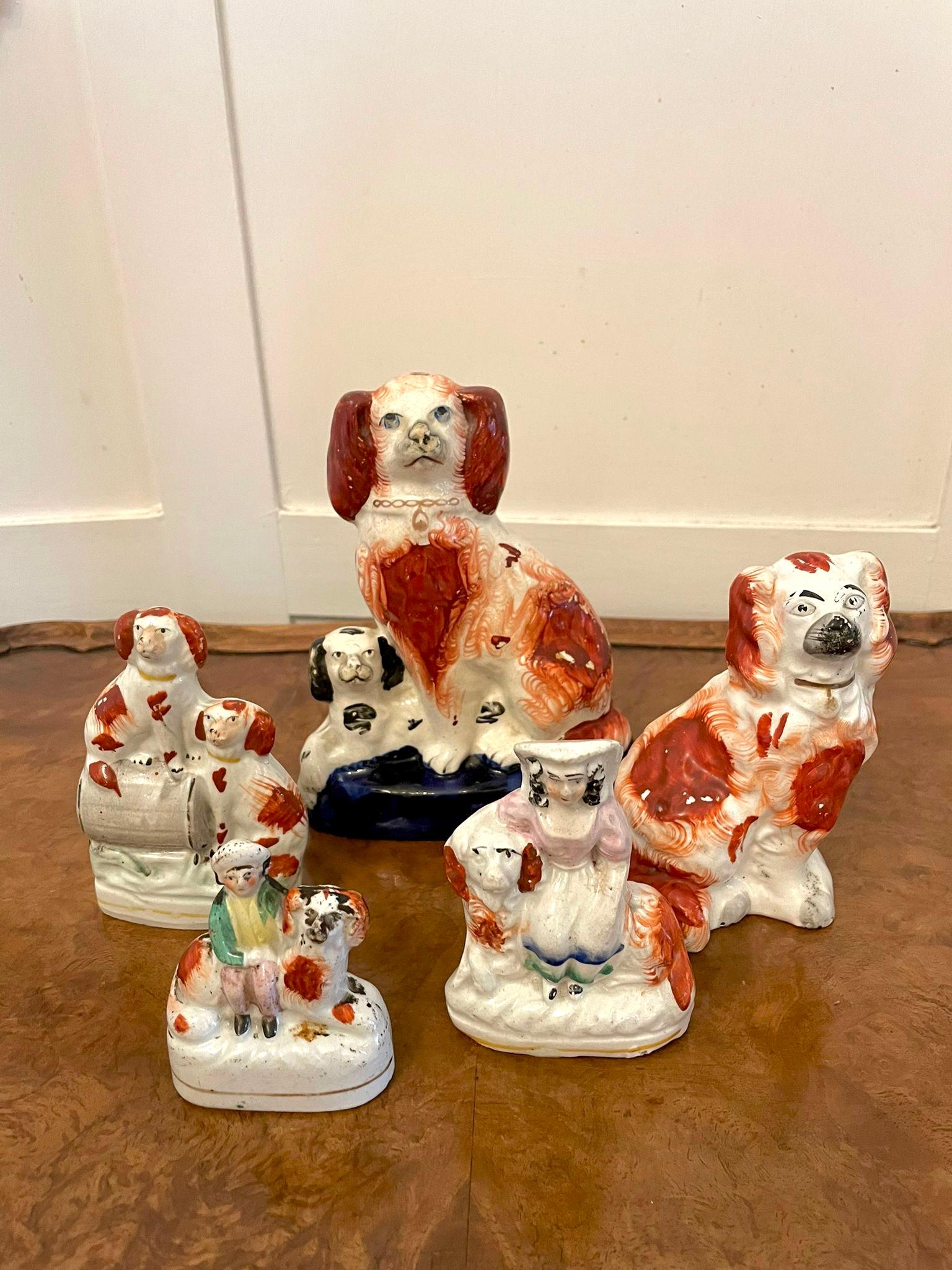 Collection of Unusual Antique Victorian Staffordshire Dogs For Sale 1