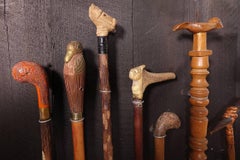Collection of Walking Sticks in Shadow Box