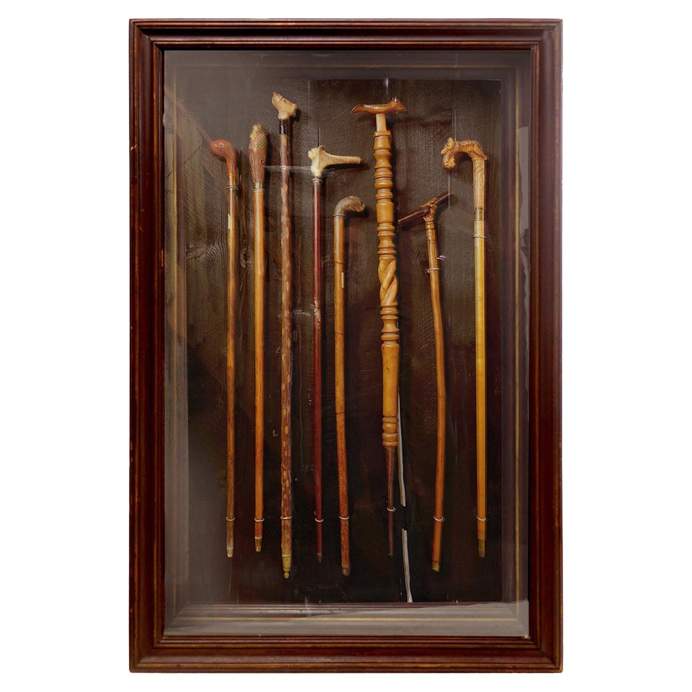 Collection of Walking Sticks in Shadow Box For Sale