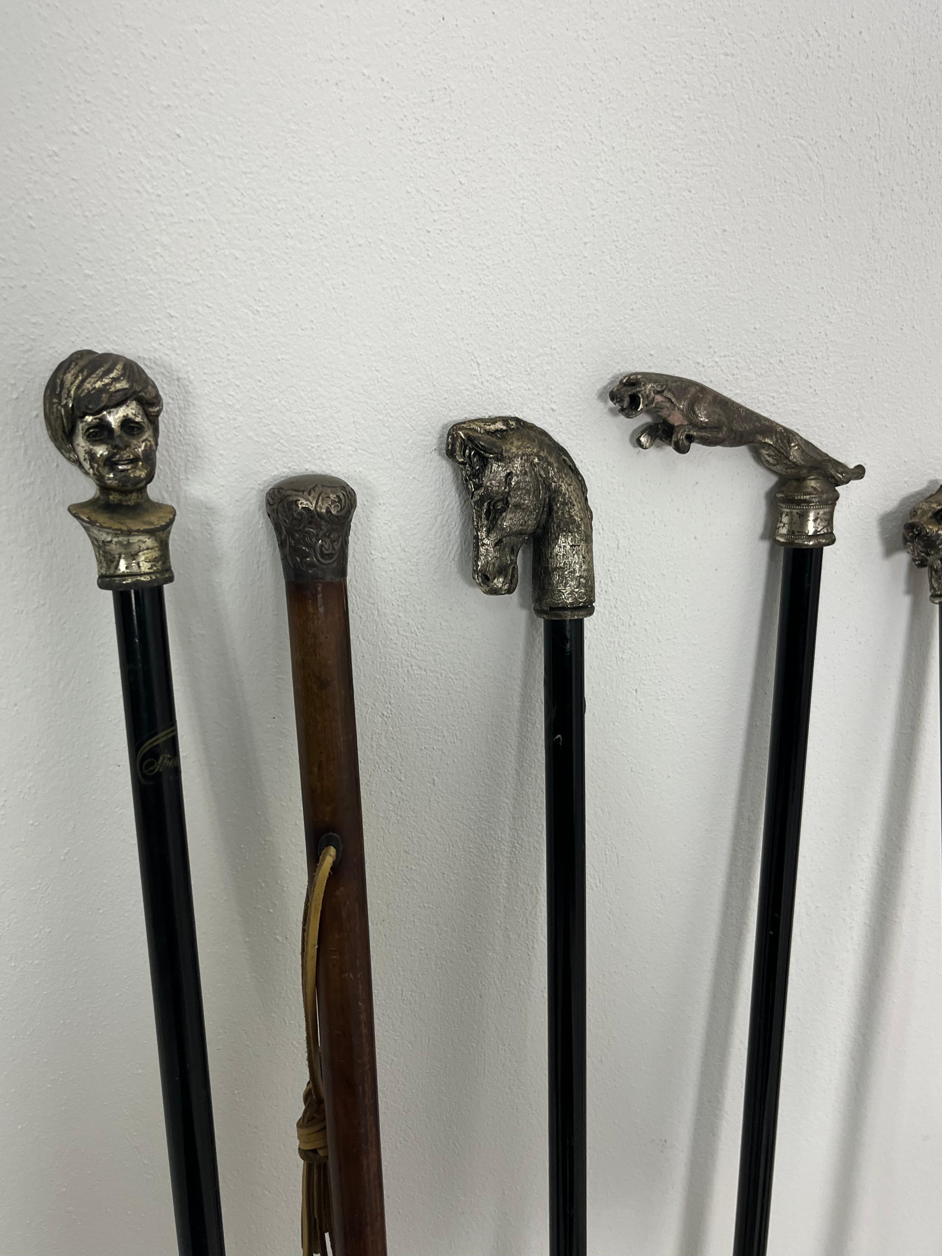 Collection of Walking Sticks mit Stockhaltern aus Messing, 1960er Jahre im Angebot 5