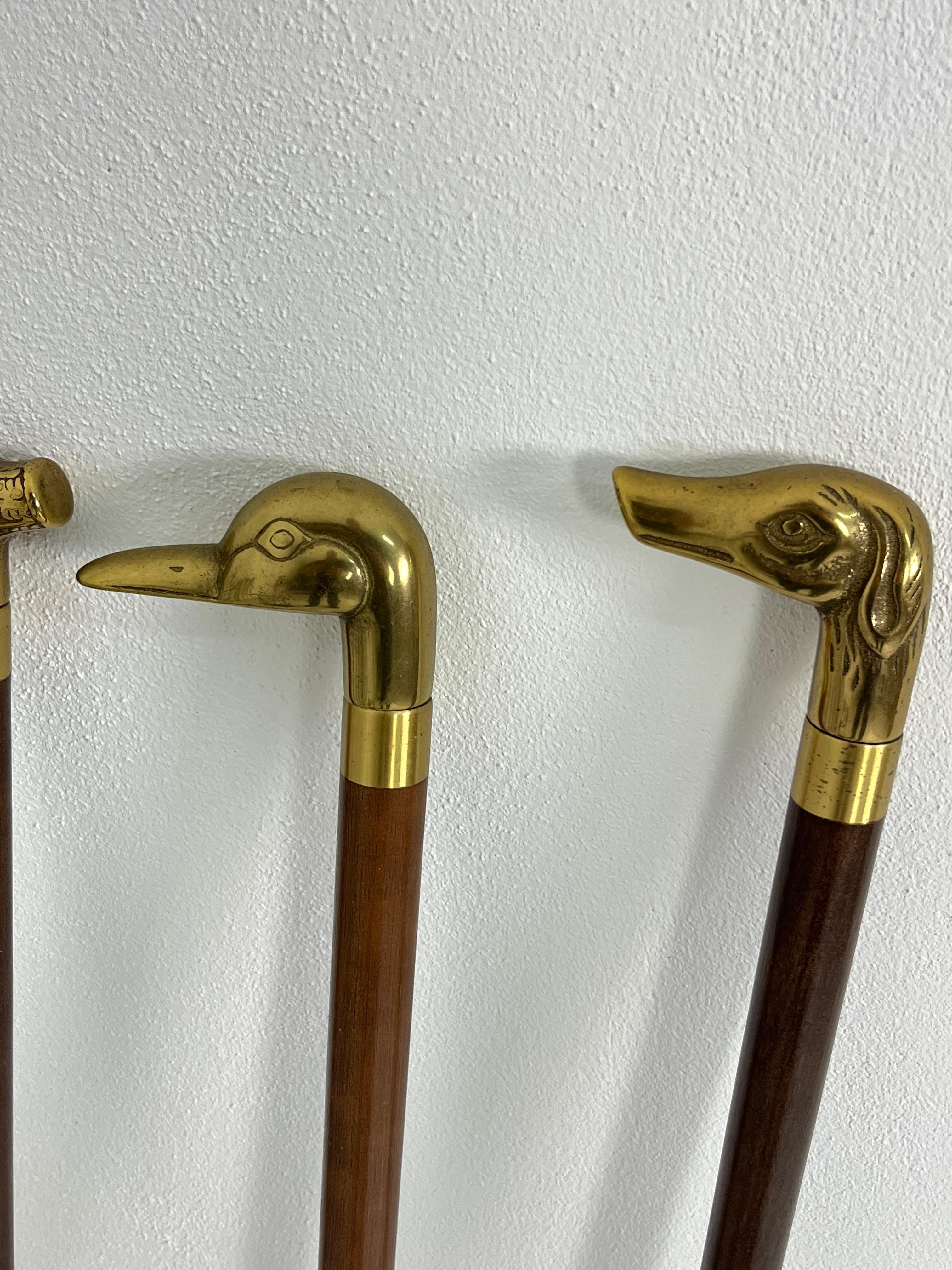 Collection of Walking Sticks mit Stockhaltern aus Messing, 1960er Jahre im Zustand „Gut“ im Angebot in Palermo, IT