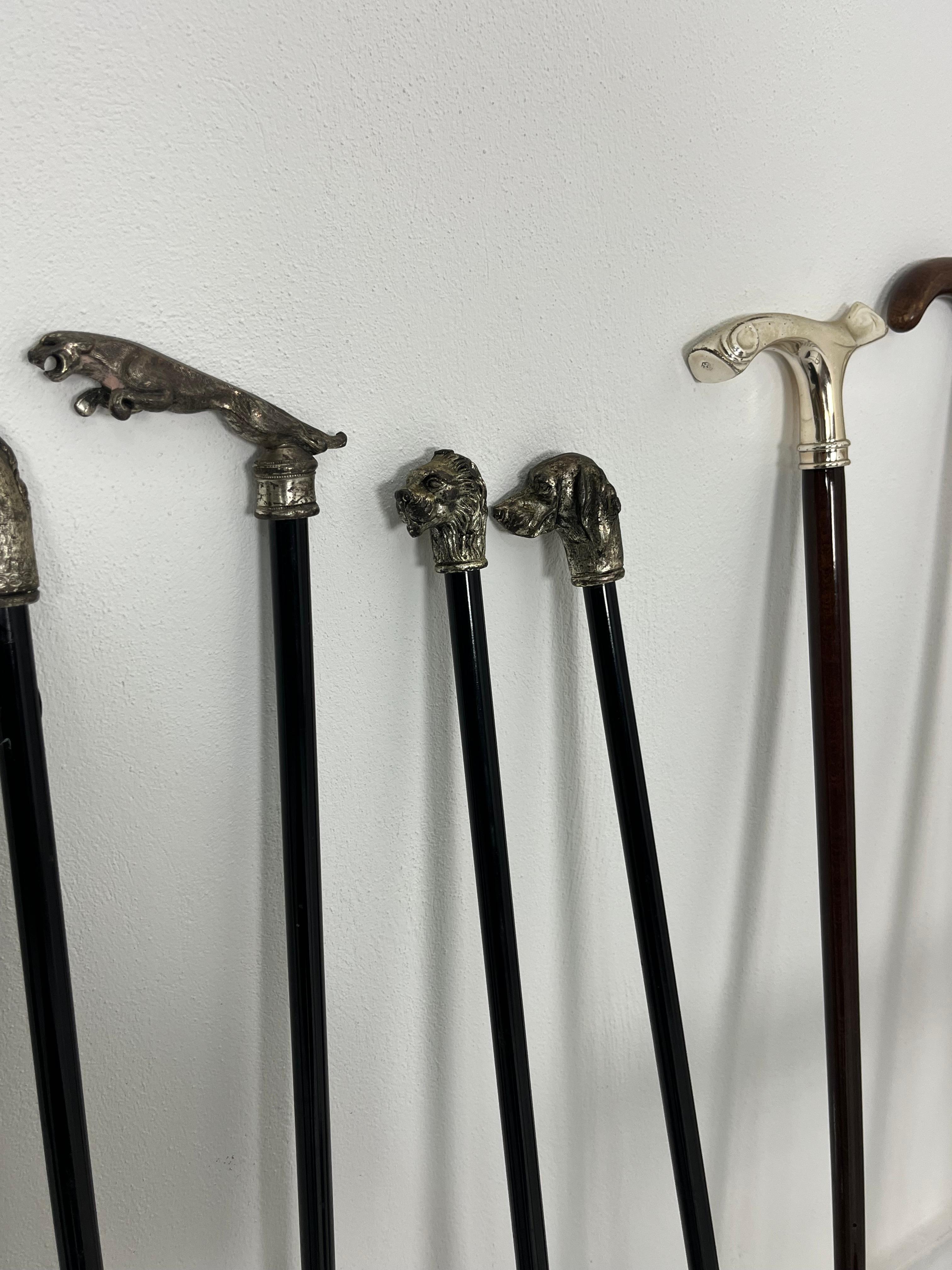 Collection of Walking Sticks mit Stockhaltern aus Messing, 1960er Jahre im Angebot 4