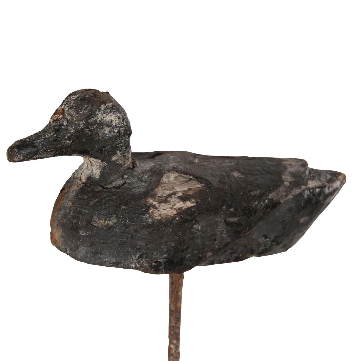 Decorative collection of three wooden decoy ducks on their original metal spikes. It is unusual to find one of the ducks in the sleeping position. 
 