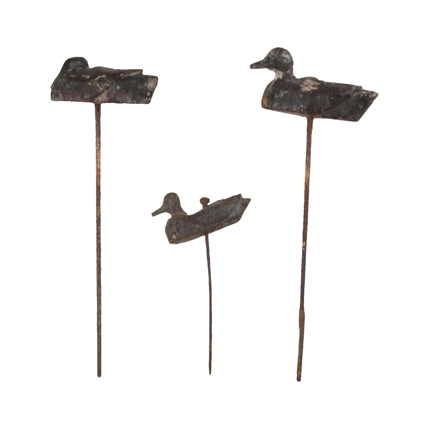 Collection of Wooden Decoy Ducks For Sale