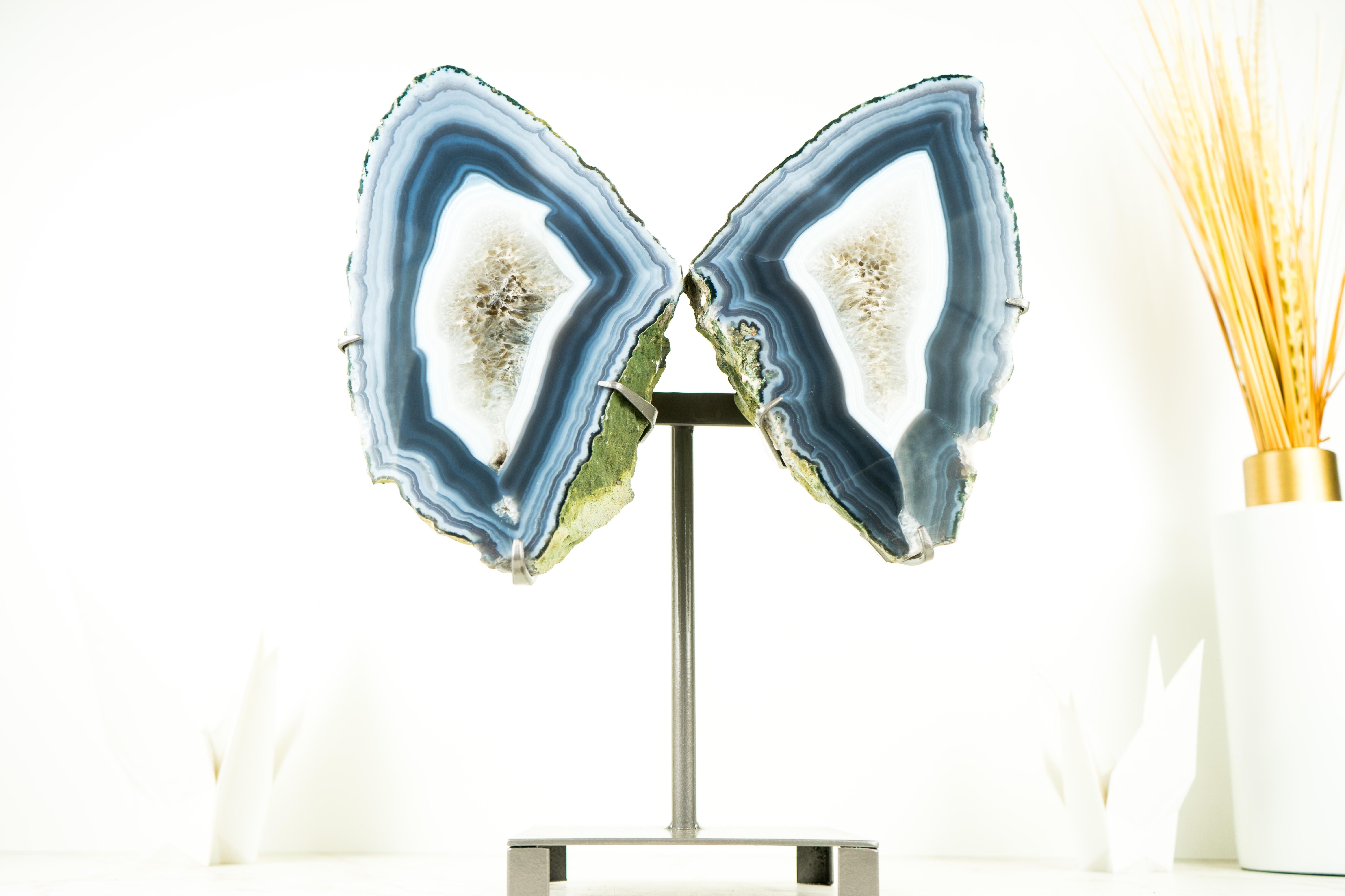 Ágata Geoda de Coleccionista Alas de Mariposa, Ágata Azul Escultórica Natural Grande 5