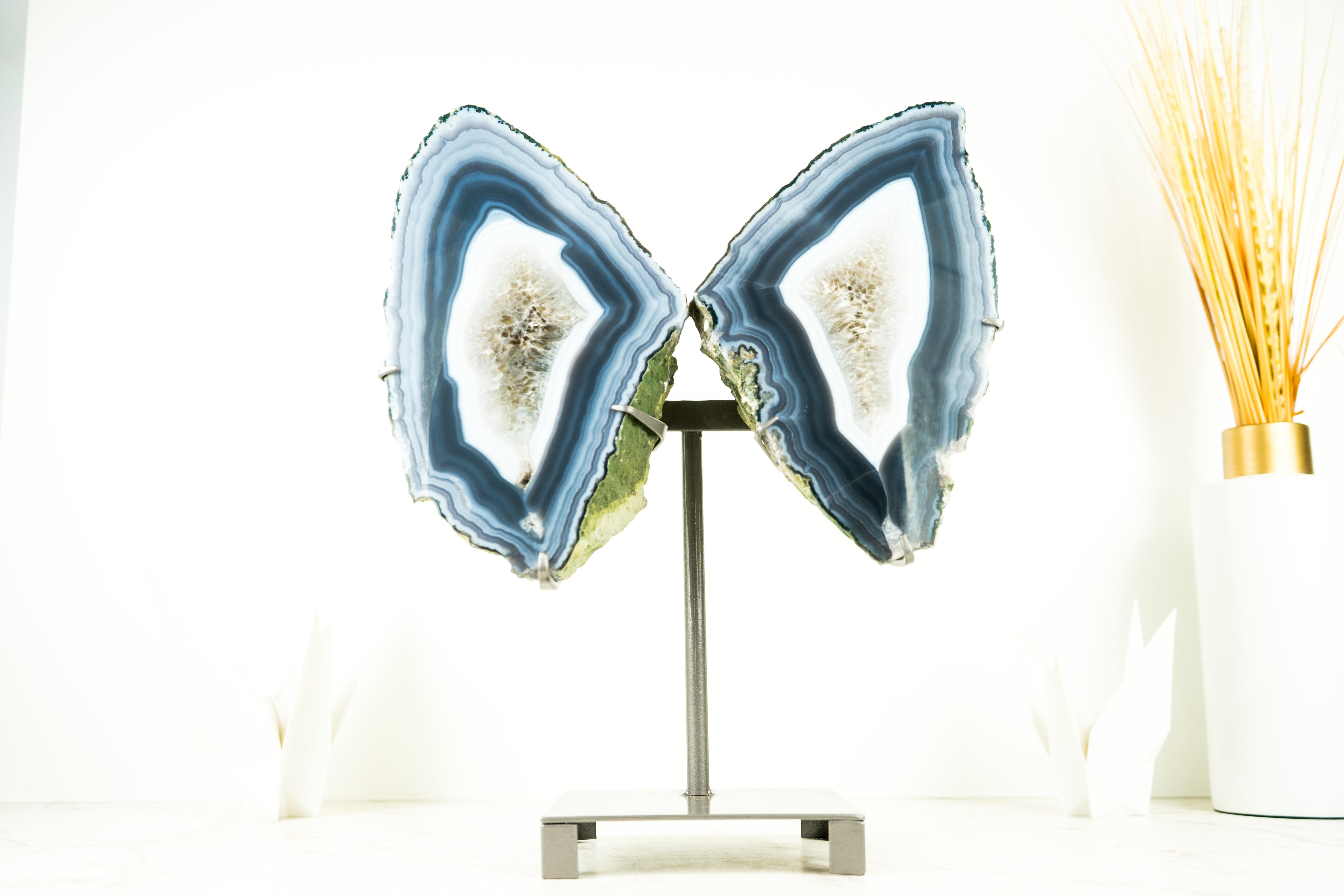 Ágata Geoda de Coleccionista Alas de Mariposa, Ágata Azul Escultórica Natural Grande 6