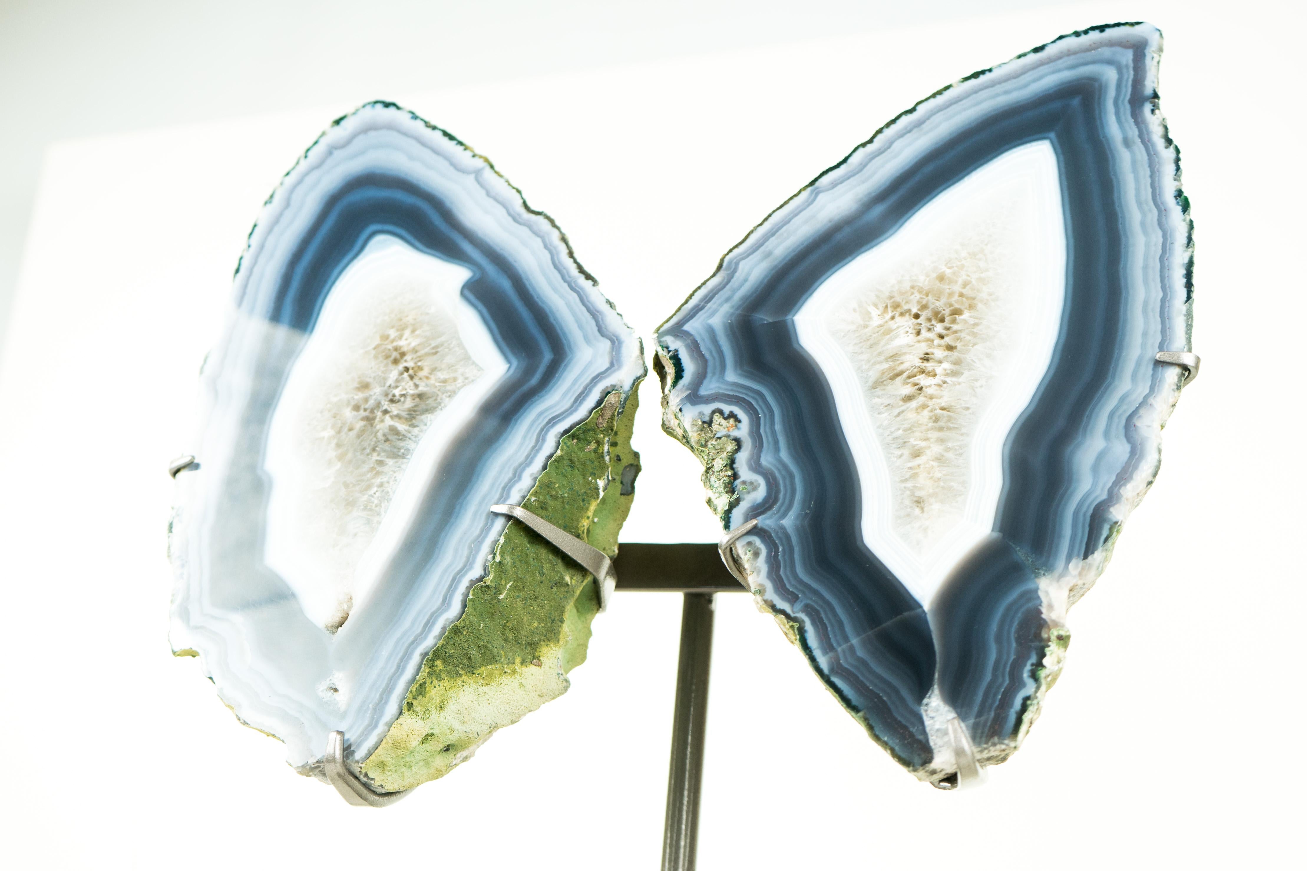 Ágata Geoda de Coleccionista Alas de Mariposa, Ágata Azul Escultórica Natural Grande en Nuevo Estado en Ametista Do Sul, BR