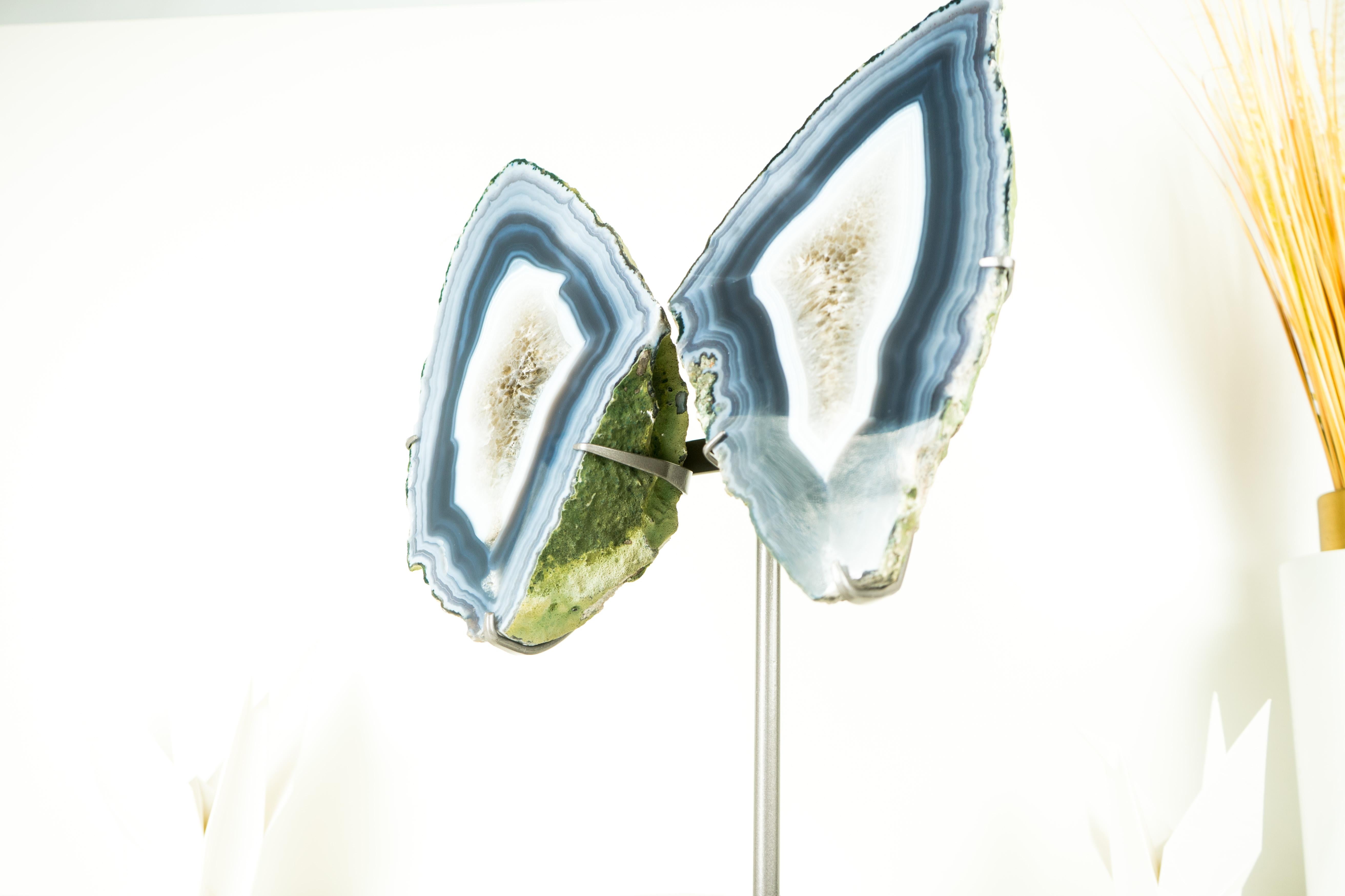 Ágata Geoda de Coleccionista Alas de Mariposa, Ágata Azul Escultórica Natural Grande Siglo XXI y contemporáneo