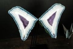 Sammler Qualität Achat Geode Schmetterling Flügel mit blauen und weißen Spitze Bands