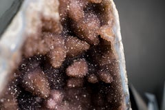 Collector-Grade Amethyst Geode with Galaxy Druzy over Calcite