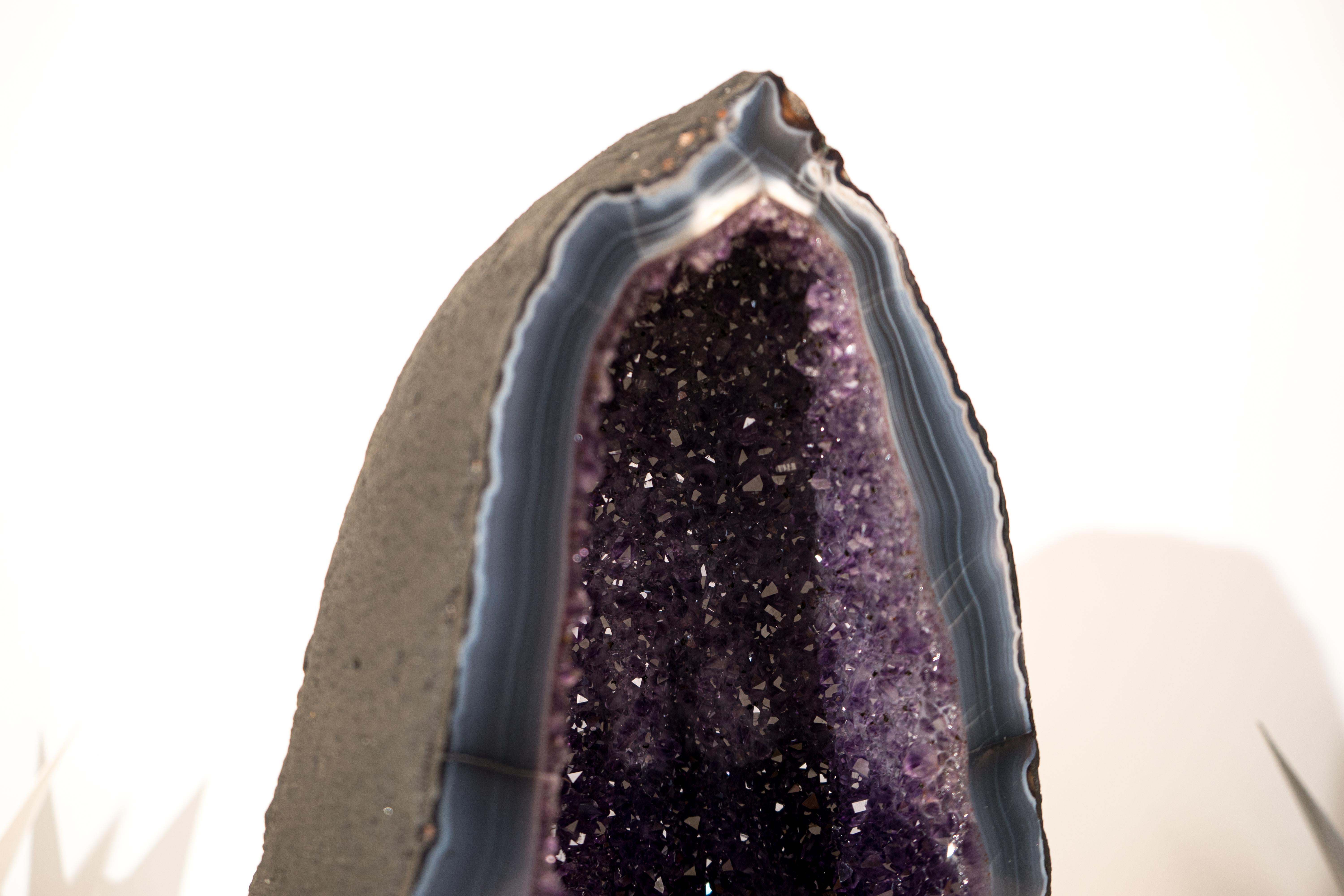 Crystal Collector-Grade Deep Purple Amethyst Geode on Intact Blue Lace Agate Lace Matrix For Sale