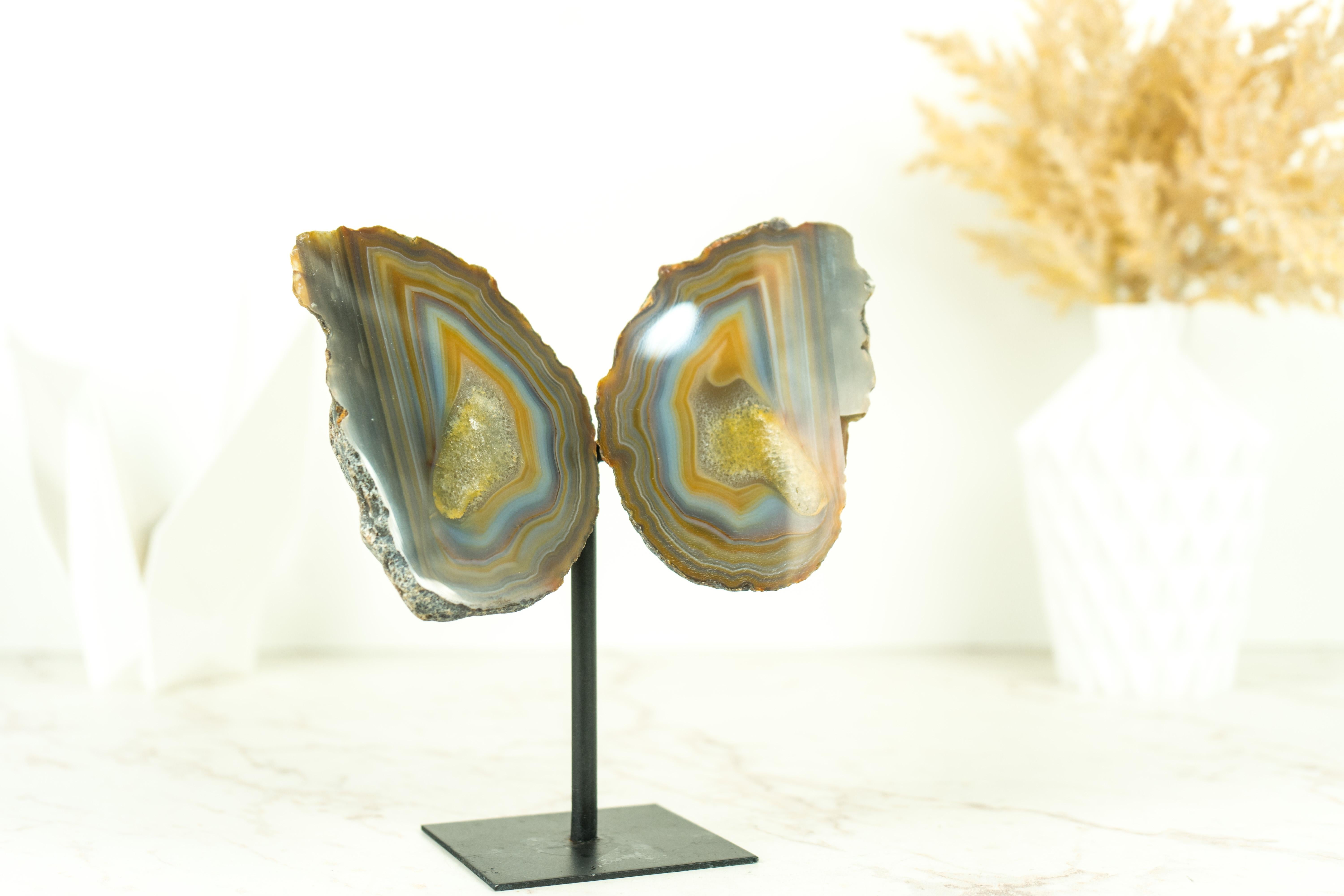 Collector Grade Lace Agate Geode Butterfly with Multicolored Agate Laces For Sale 4