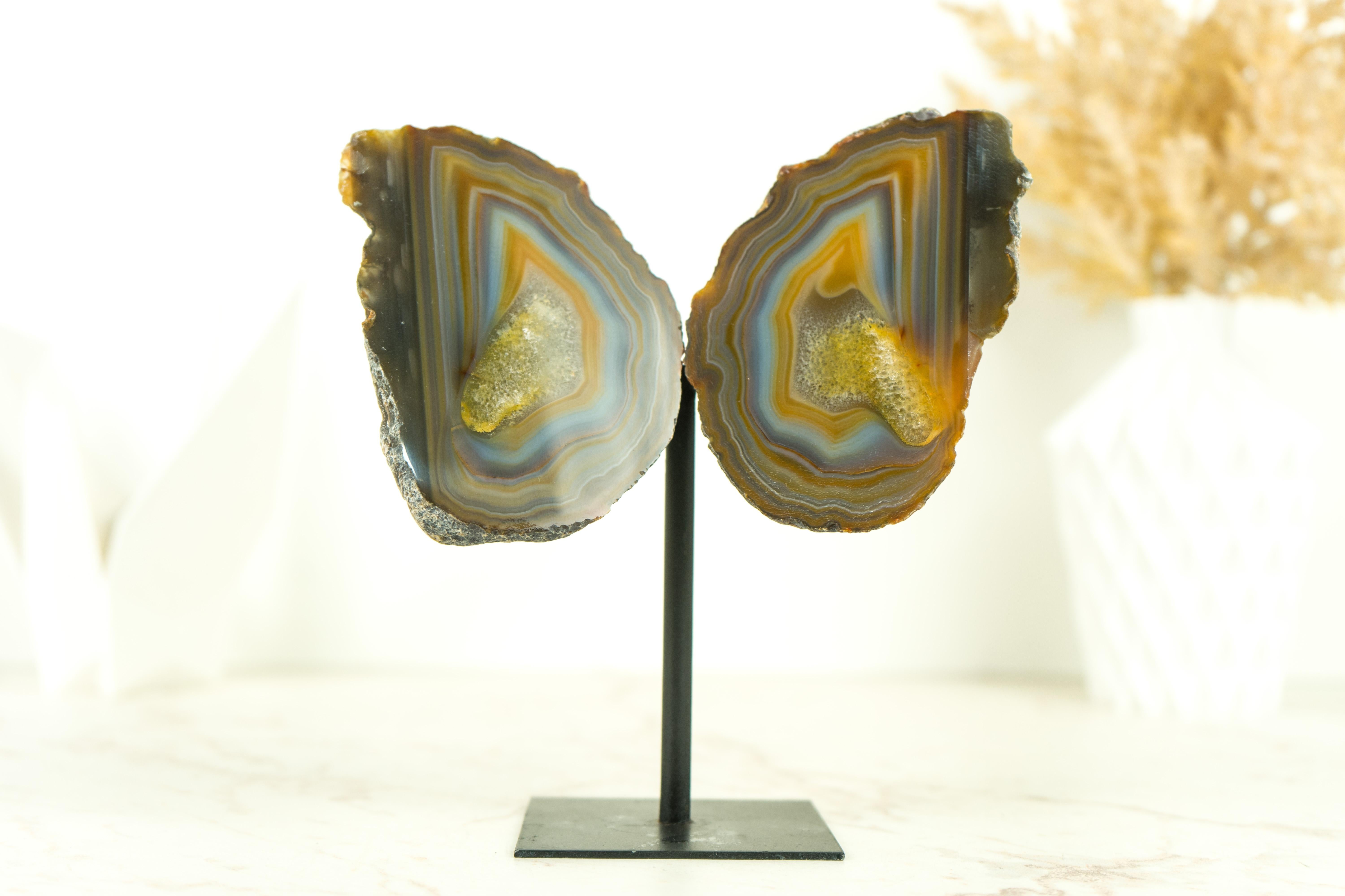 Collector Grade Lace Agate Geode Butterfly with Multicolored Agate Laces For Sale 5