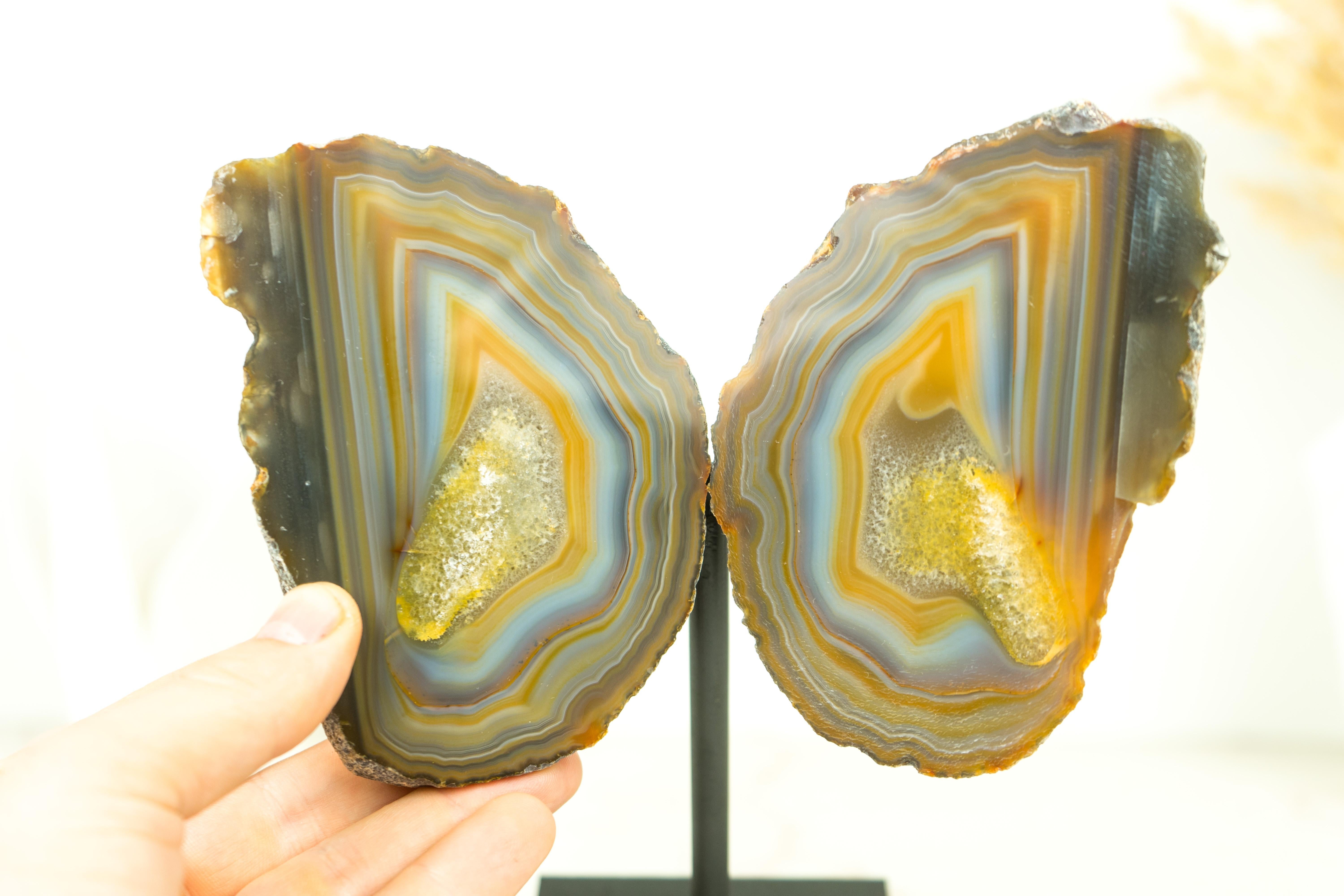 Cette petite géode d'agate, unique en son genre, présente des dentelles de qualité collection, formées au cours de millions d'années. Pièce de premier ordre, elle est parfaite pour l'étagère d'une galerie ou pour compléter votre table et susciter